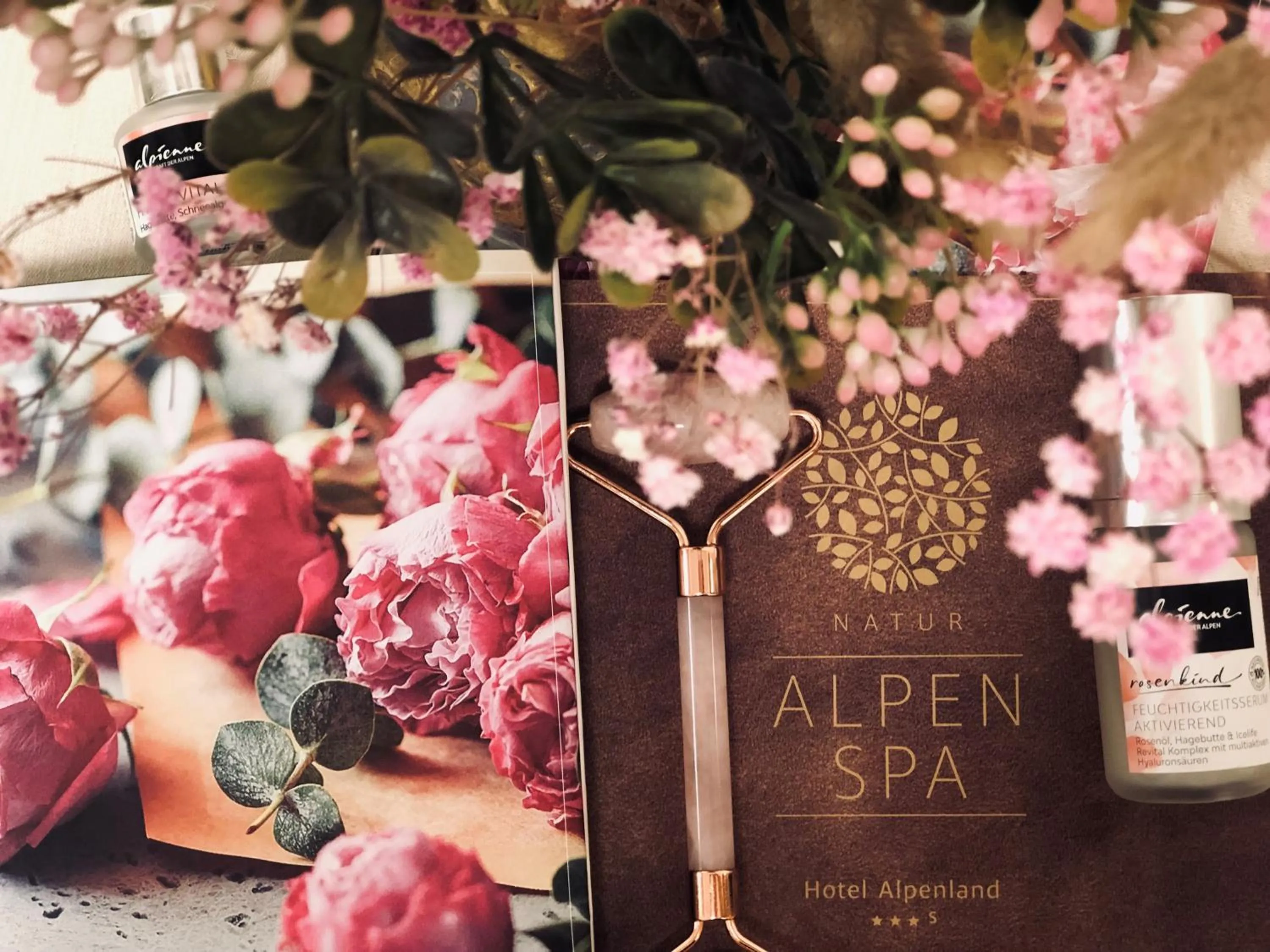 Spa and wellness centre/facilities in Hotel Alpenland