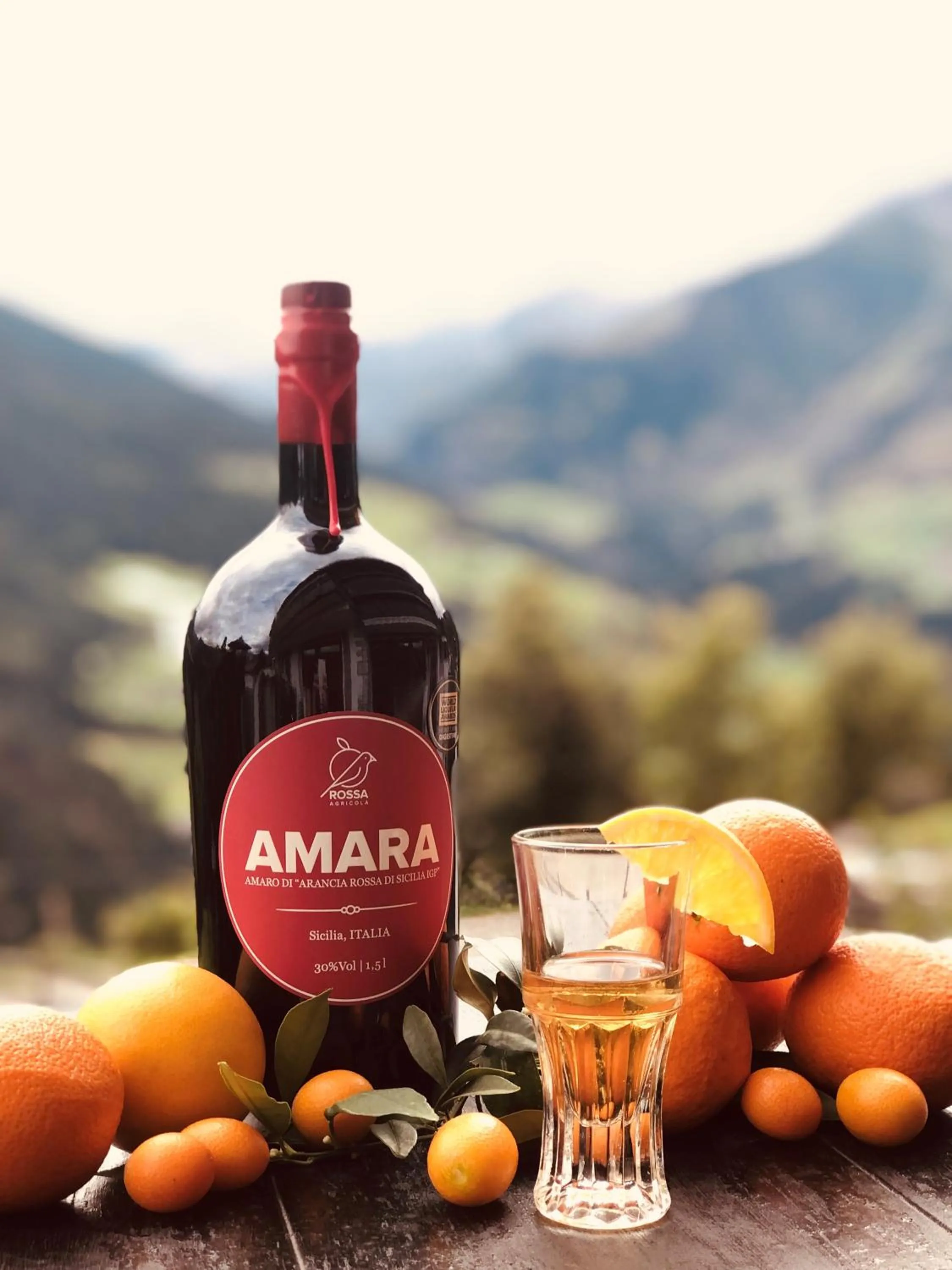 Food and drinks in Hotel Alpenland