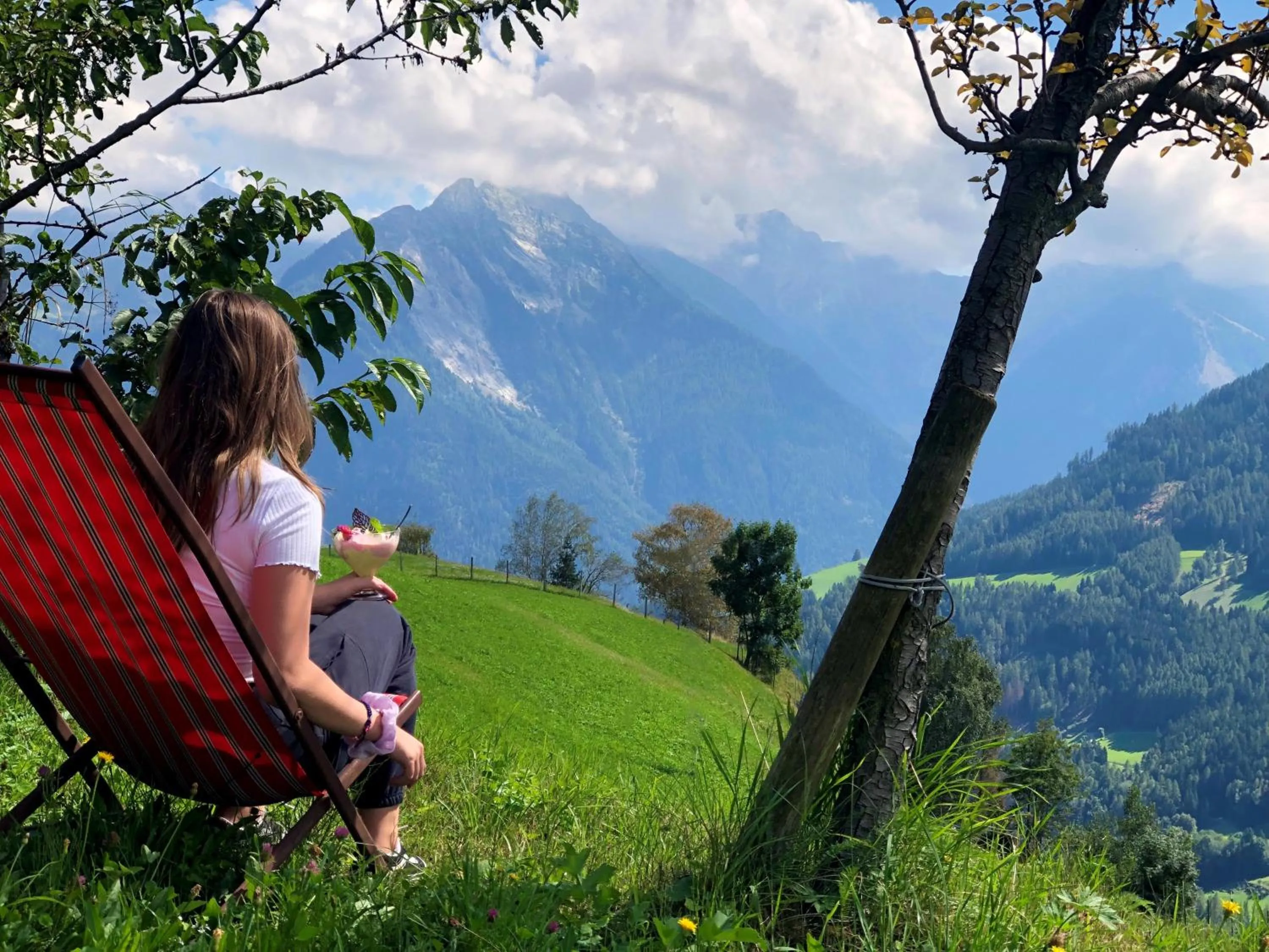 Natural landscape in Hotel Alpenland
