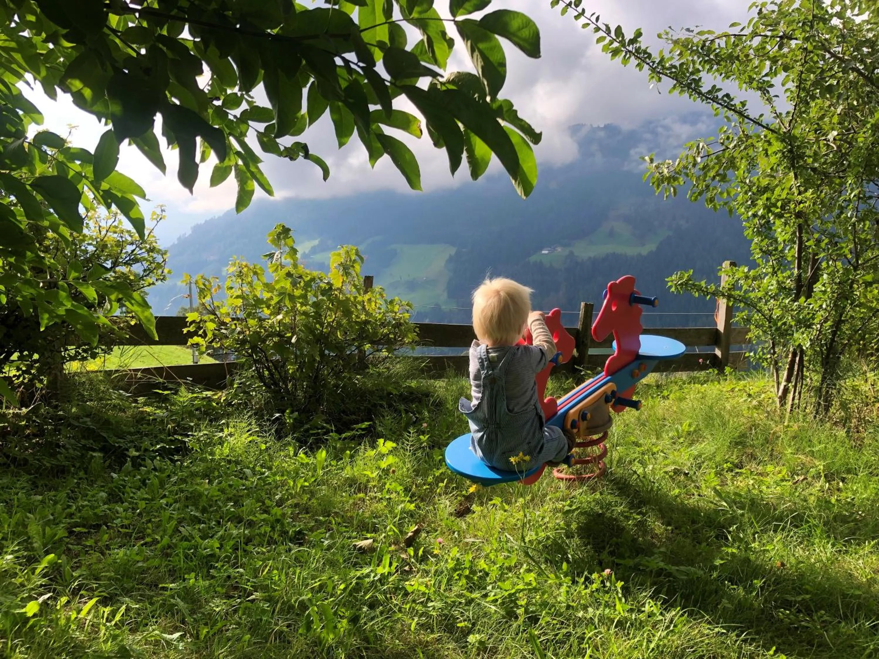 Garden in Hotel Alpenland