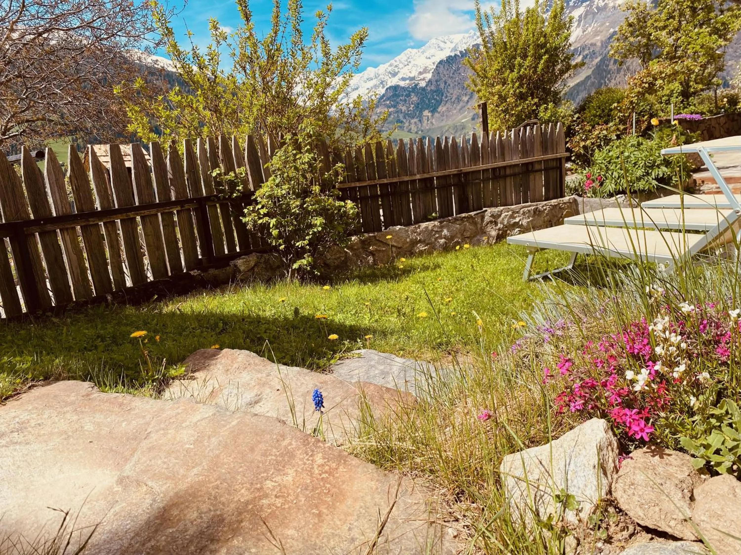 Garden in Hotel Alpenland