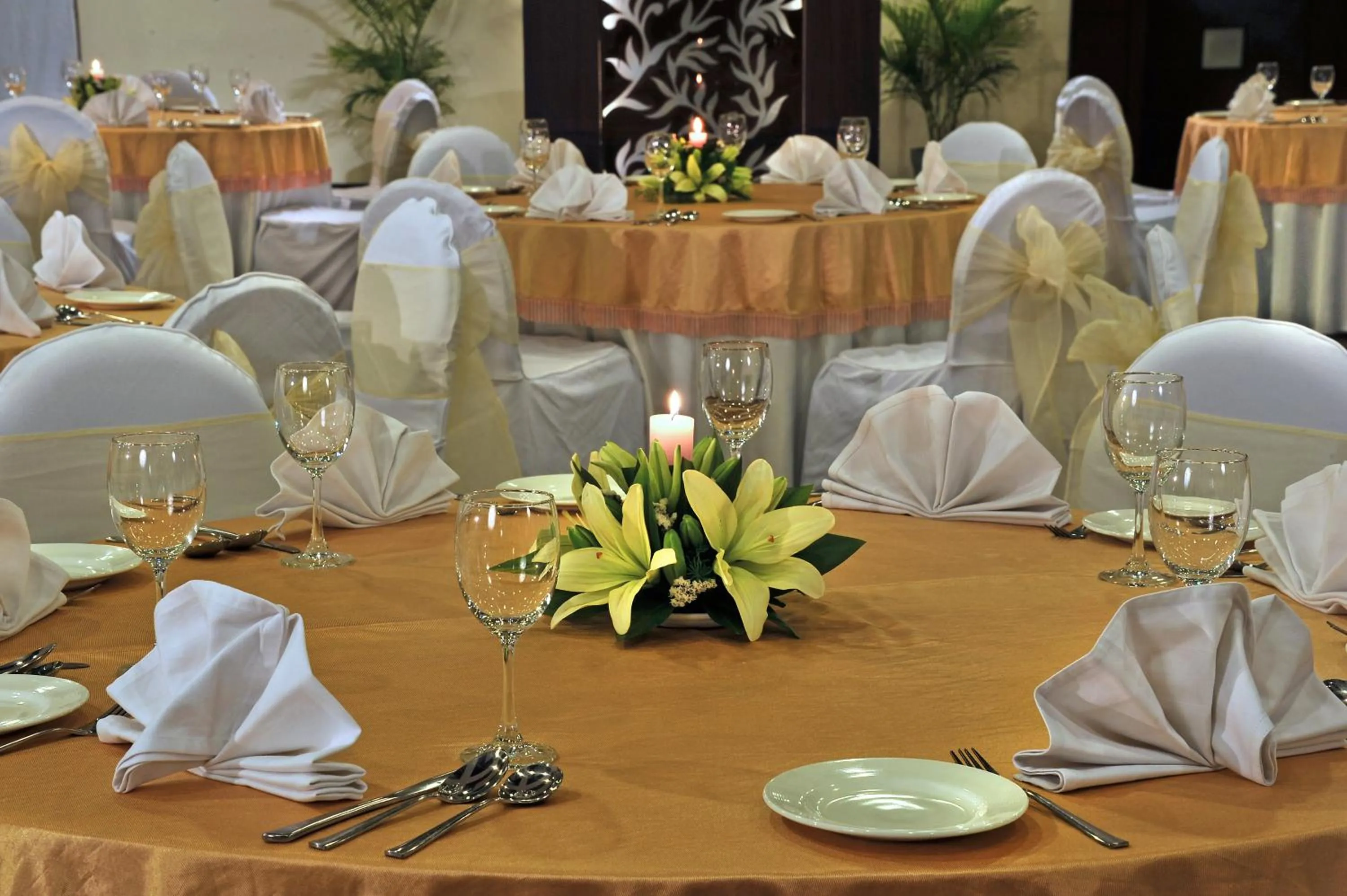 Banquet/Function facilities in Country Inn & Suites by Radisson, Gurugram Sector 12