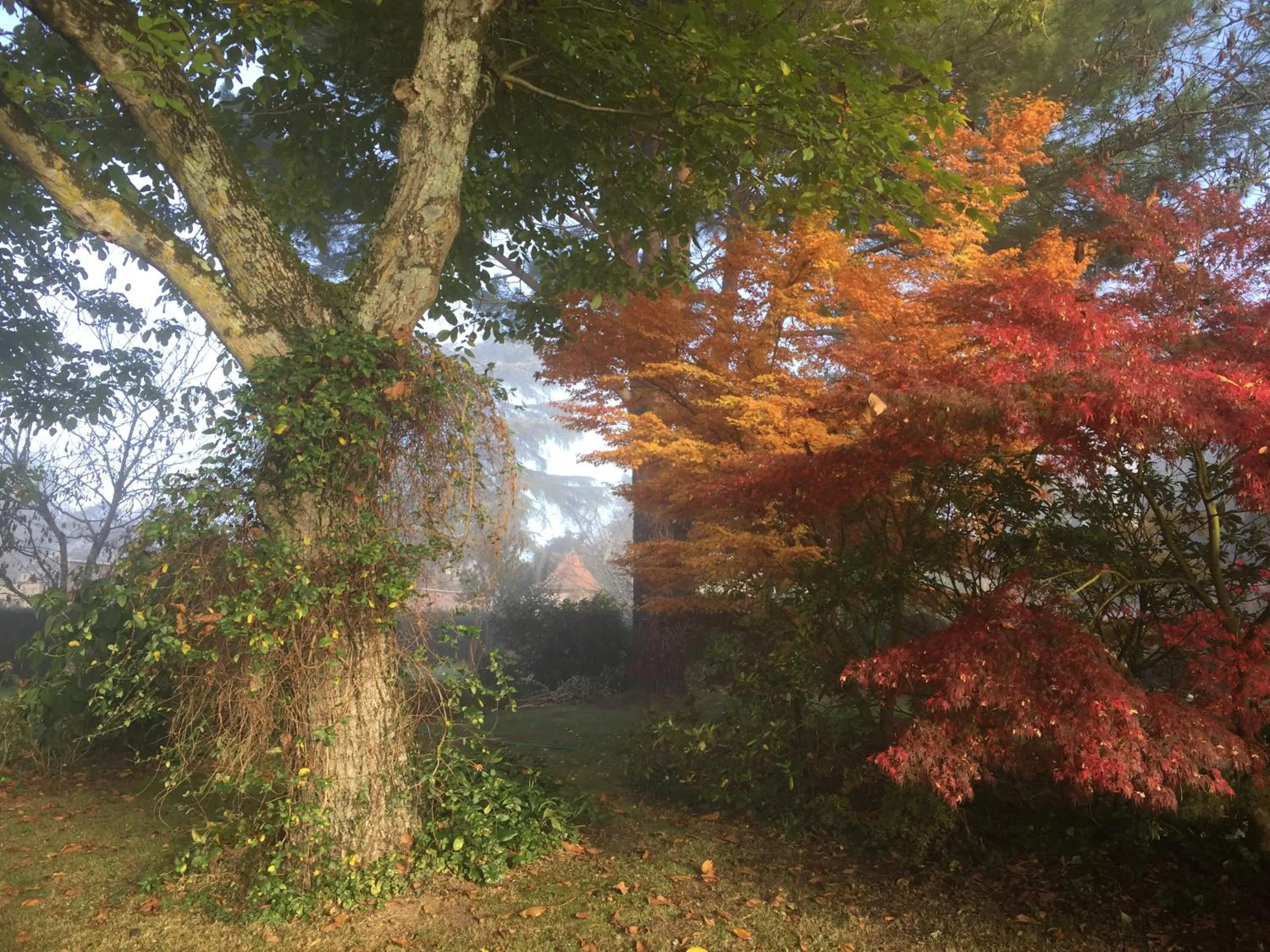 Natural landscape in Domaine des Monges