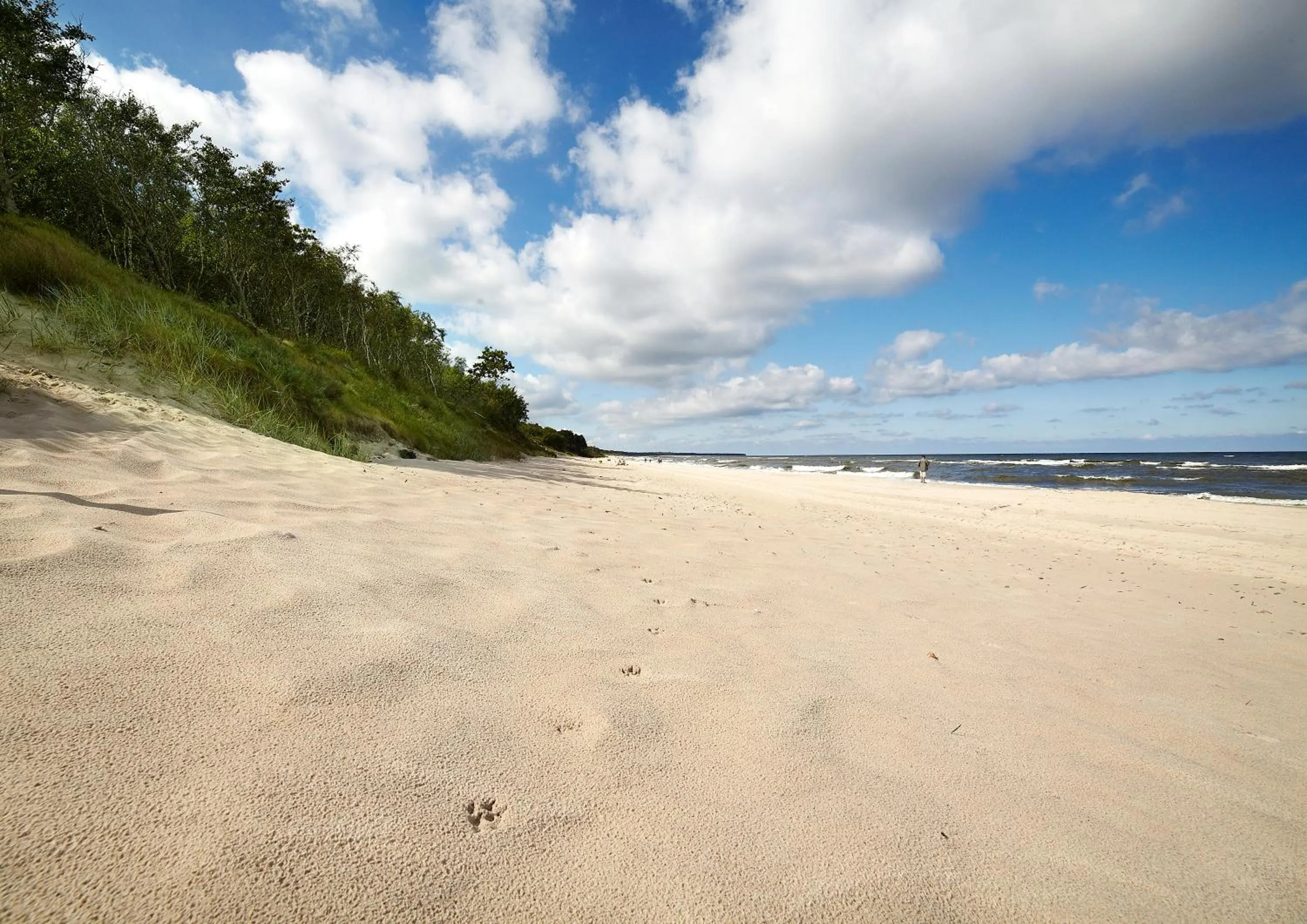 Natural landscape in Baltic Plaza Hotel Medi Spa