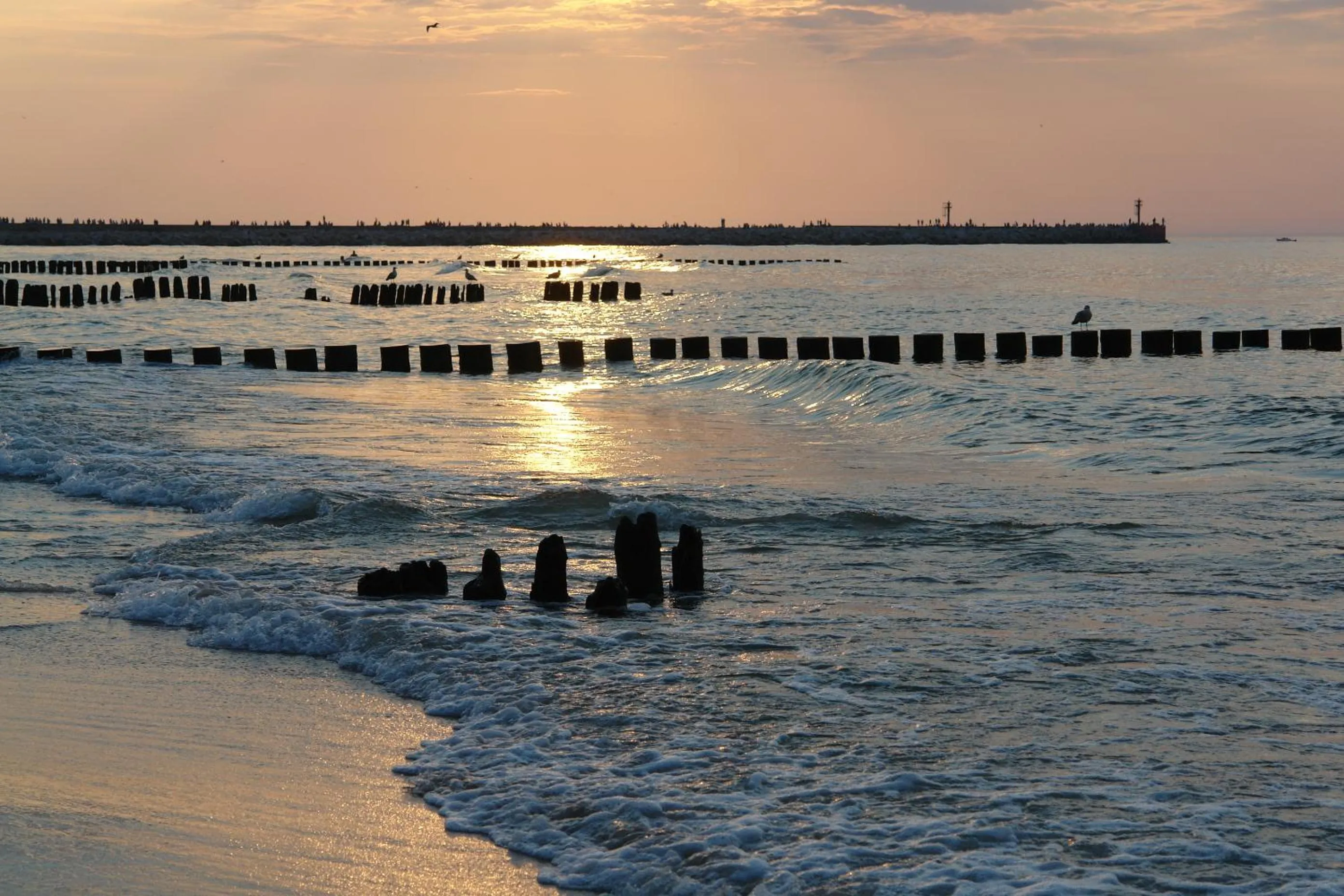 Beach in Baltic Plaza Hotel Medi Spa