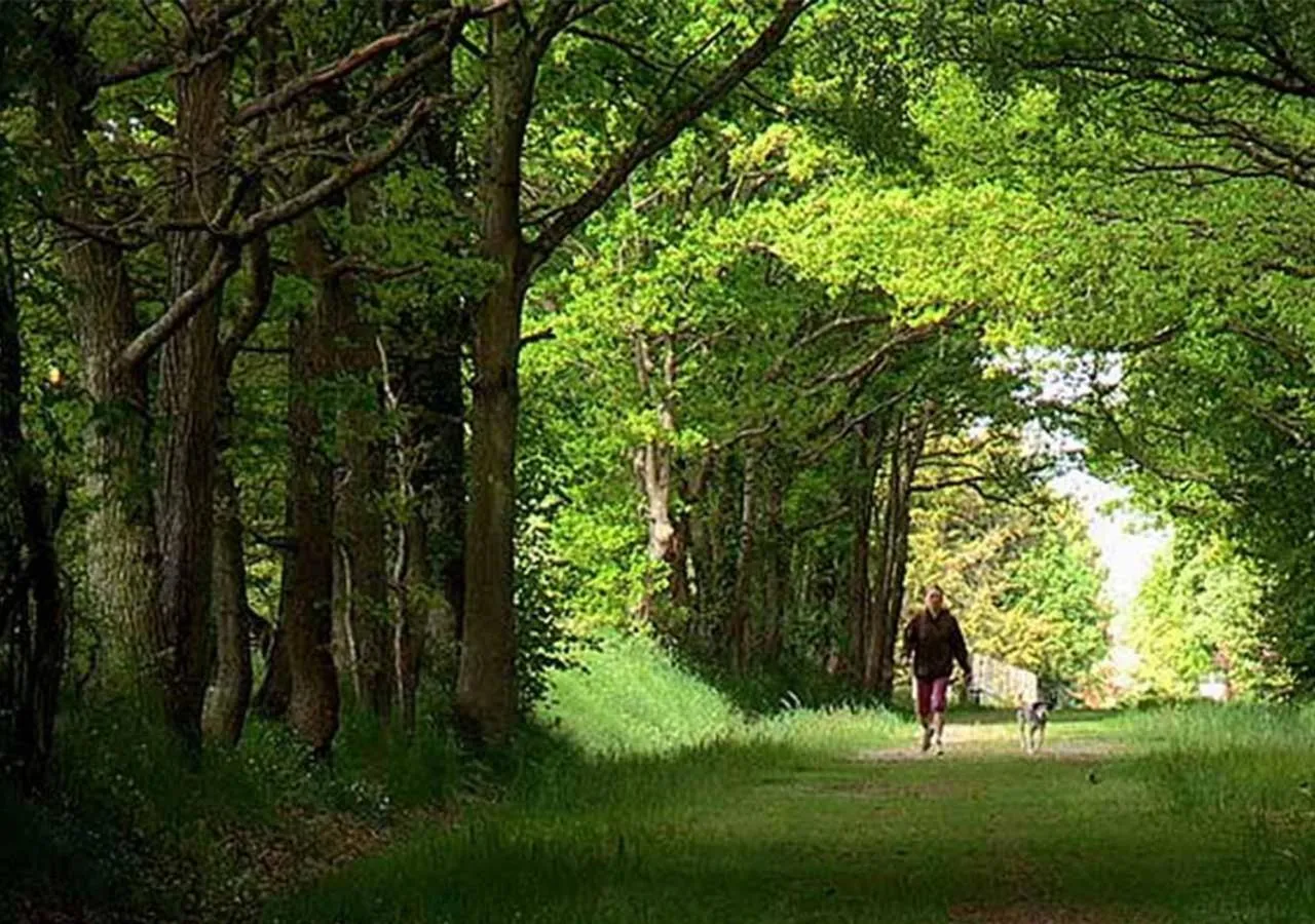 Logis - Auberge de l'Abbaye