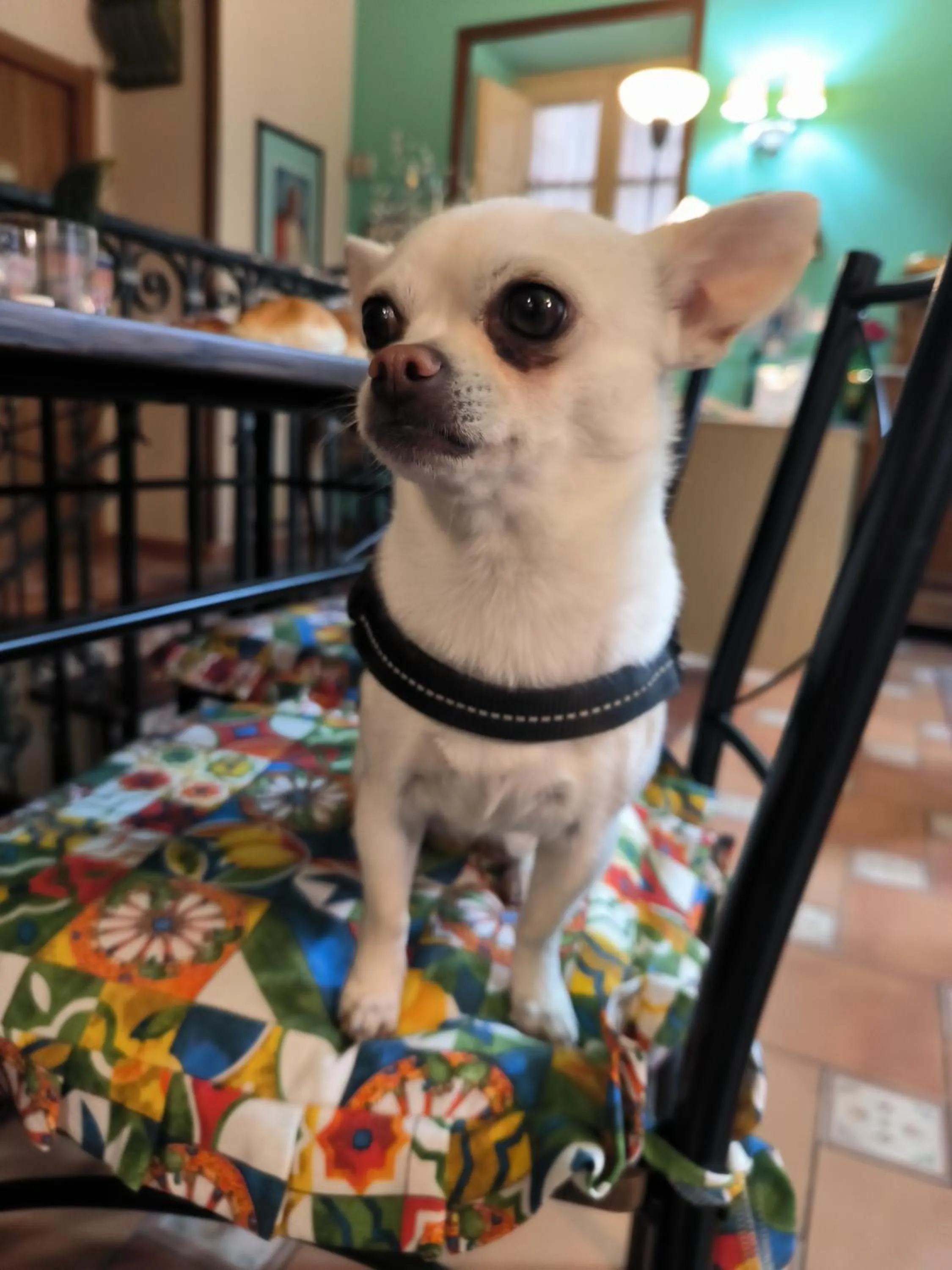 Vittorio Emanuele Rooms di Prinzi