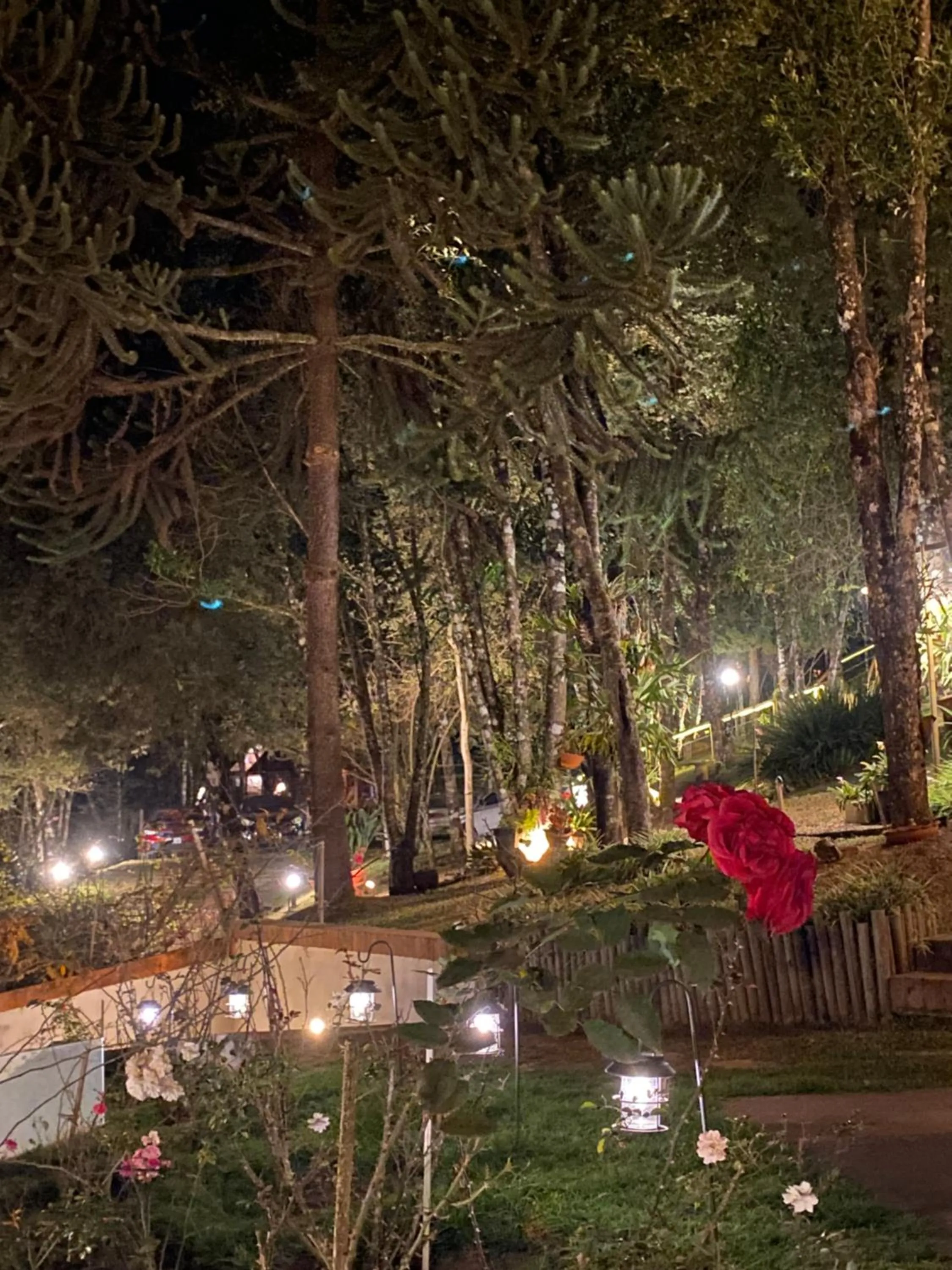Garden view in Capricho da Natureza Pousada