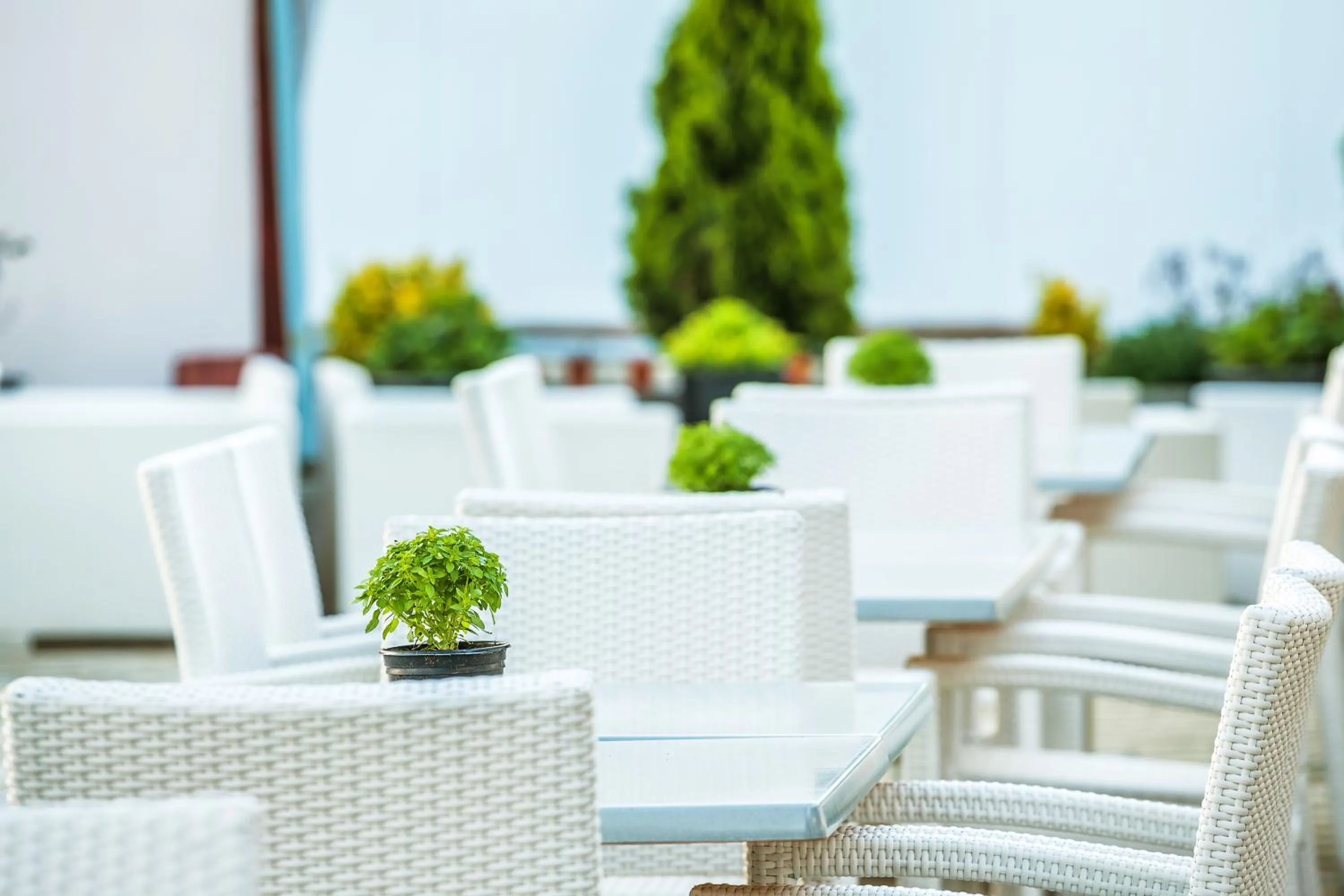 Restaurant/places to eat in Troodos Hotel & Spa