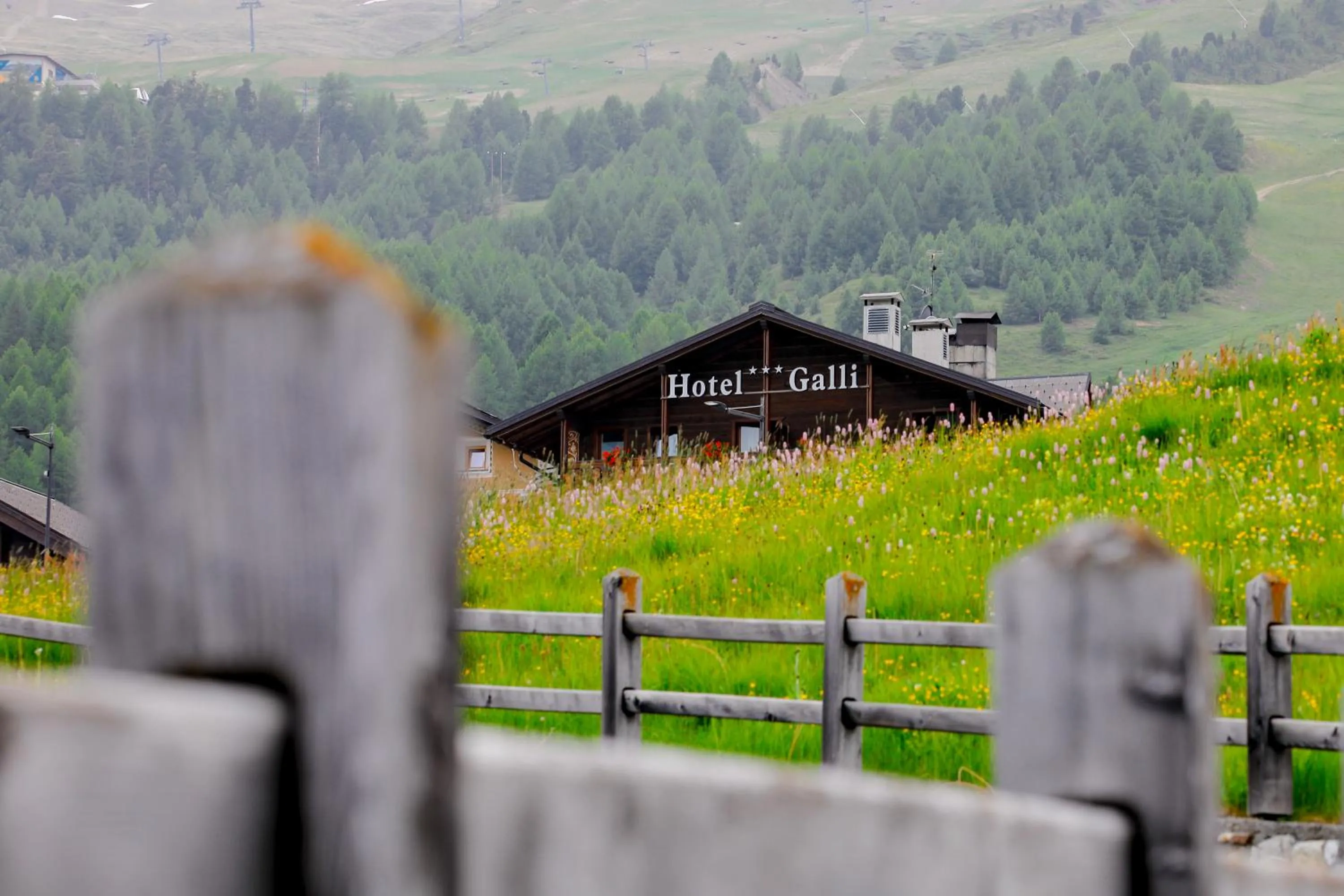 Property building in Hotel Galli