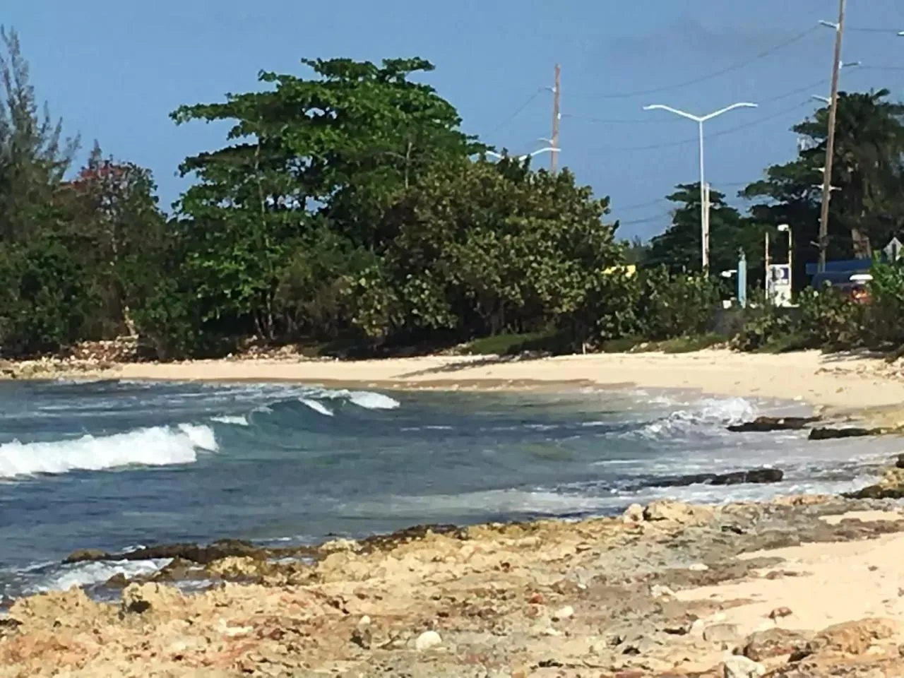 Natural landscape in Luxury 2BR Home facing Beach w/Pool Montego Bay #3