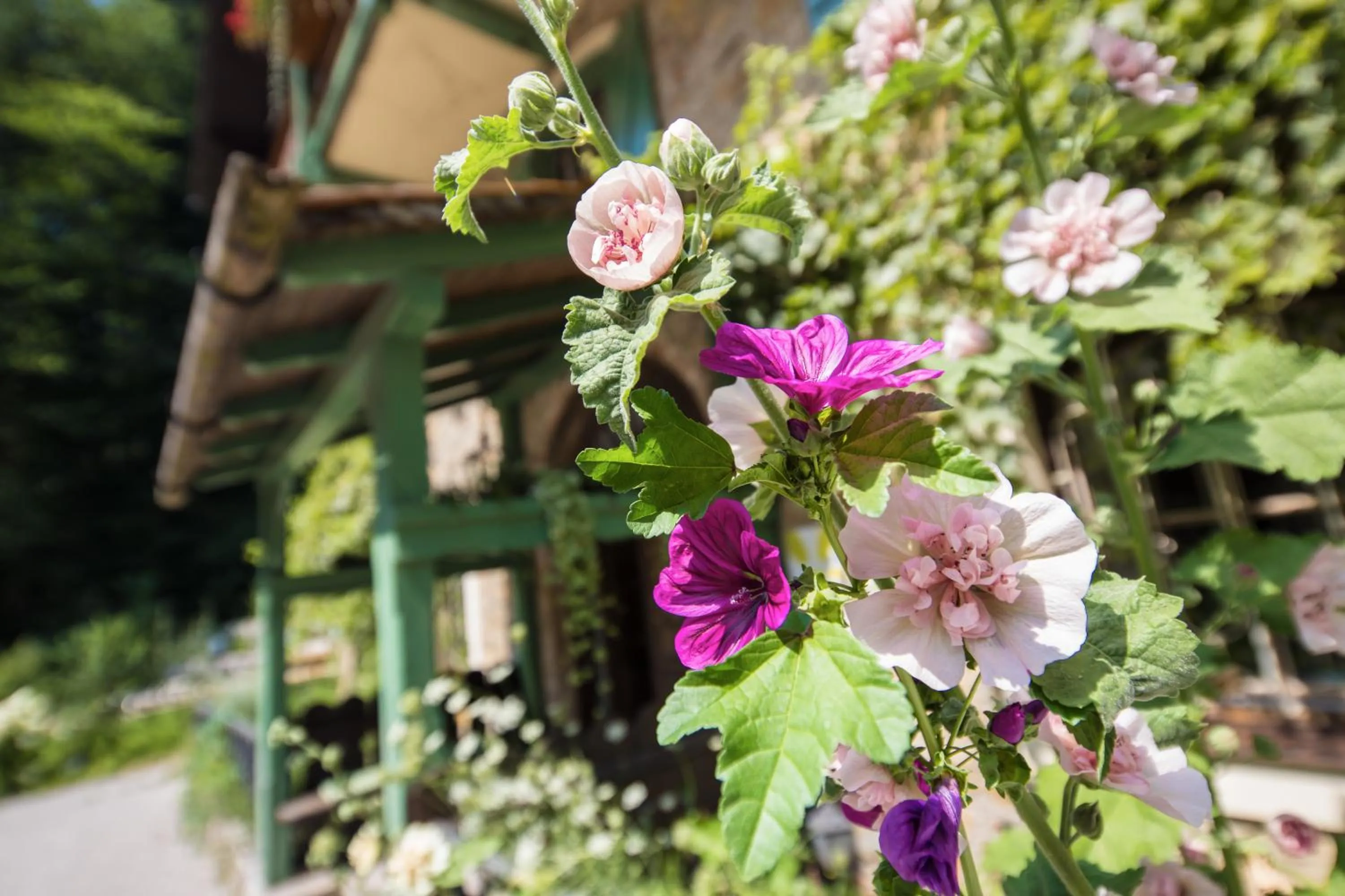 Facade/entrance in Naturidyll Hotel Hammerschmiede