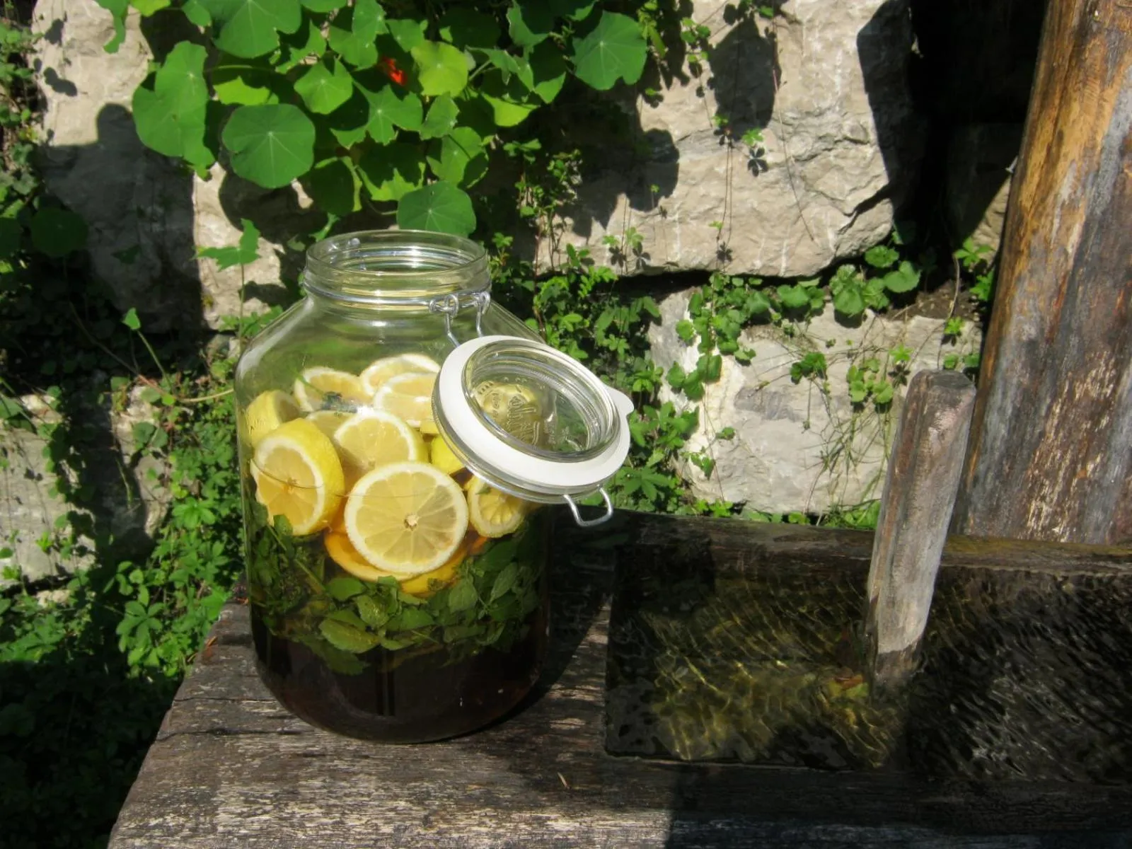 Non alcoholic drinks in Naturidyll Hotel Hammerschmiede