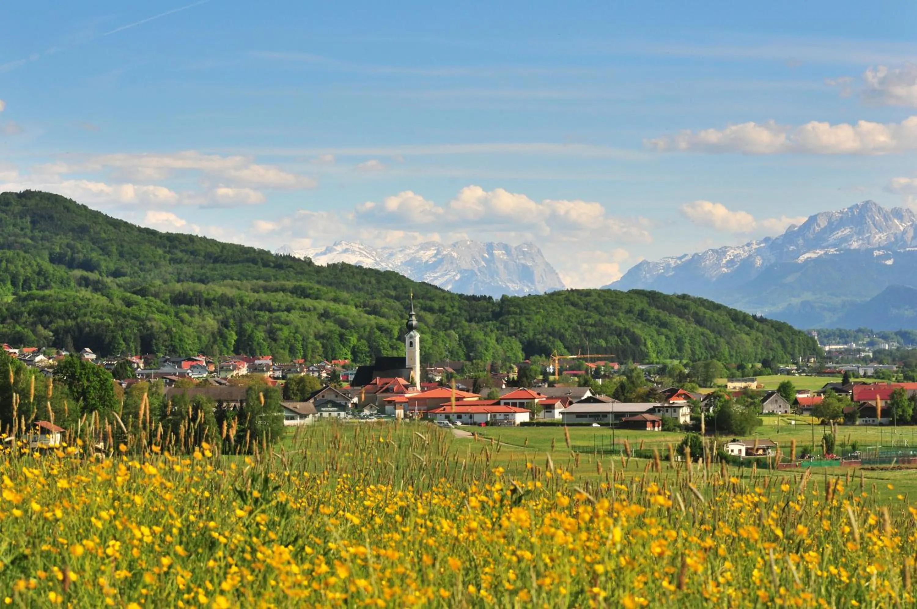 Natural landscape in Naturidyll Hotel Hammerschmiede