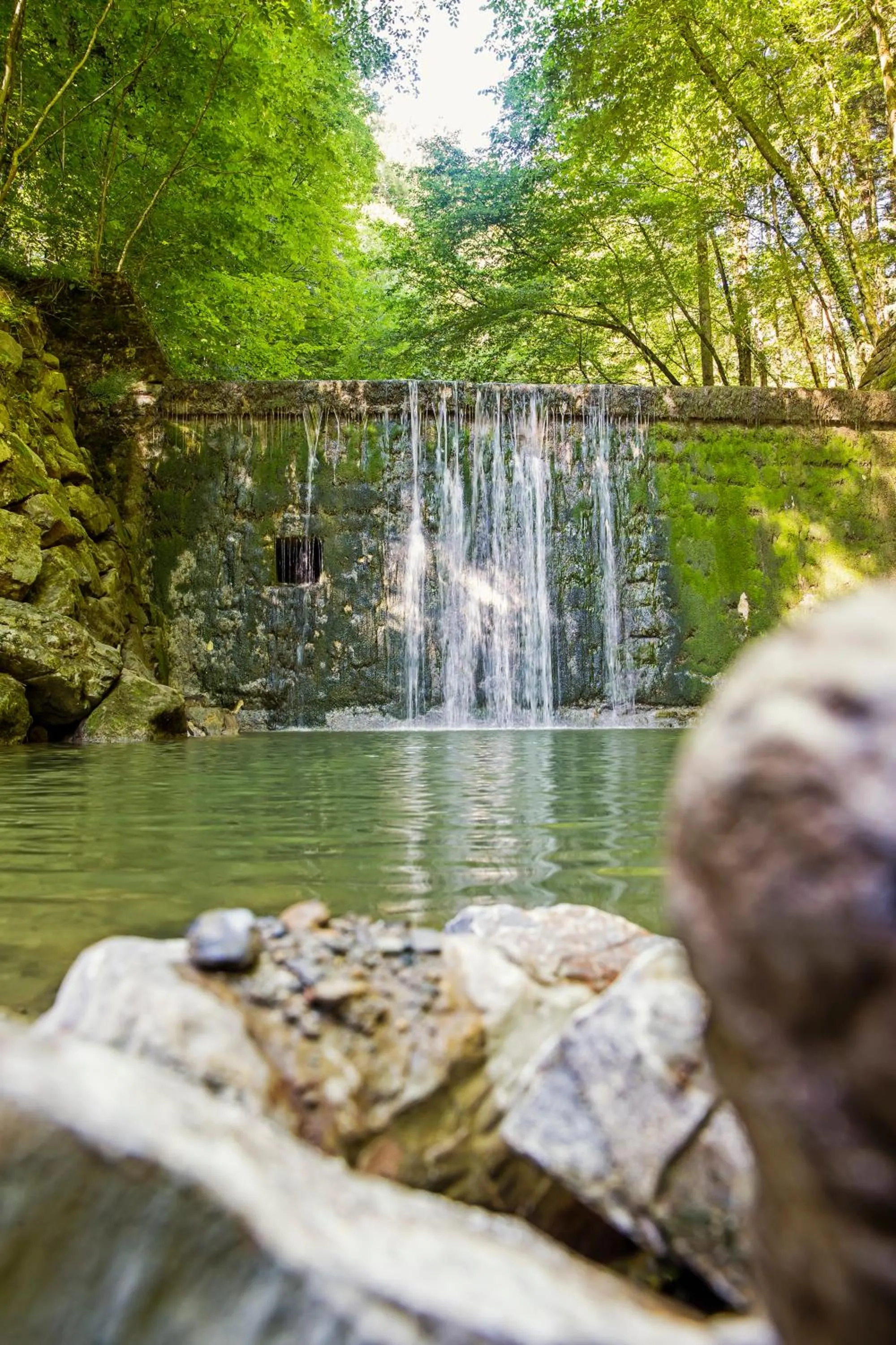 Day in Naturidyll Hotel Hammerschmiede