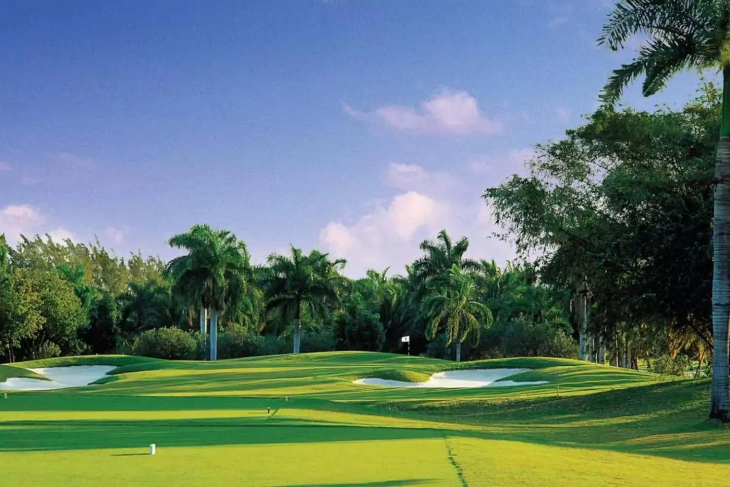 Golfcourse in Family Complex beside Beach w/Pool Montego Bay #1