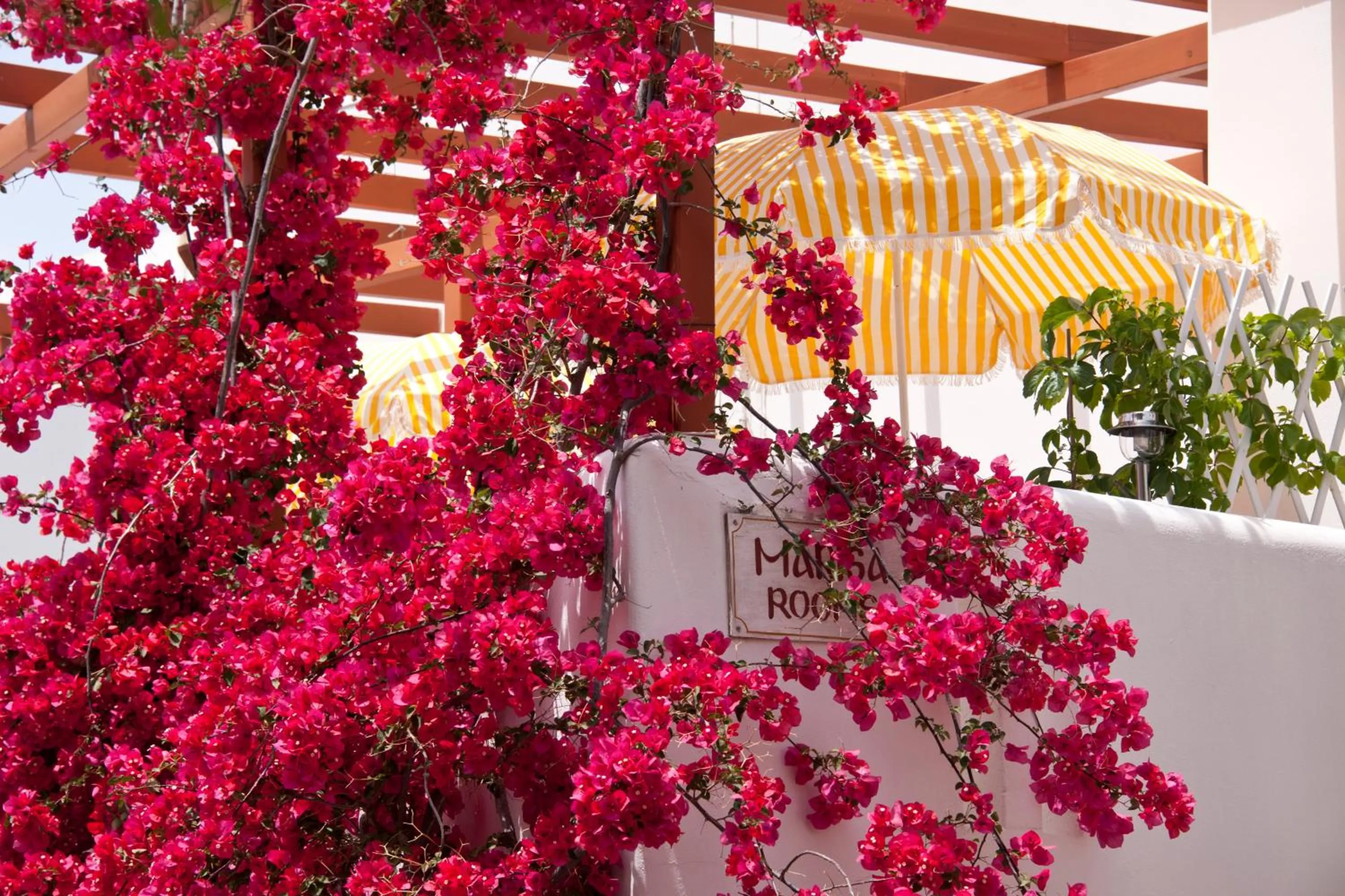 Facade/entrance in Marisa Rooms