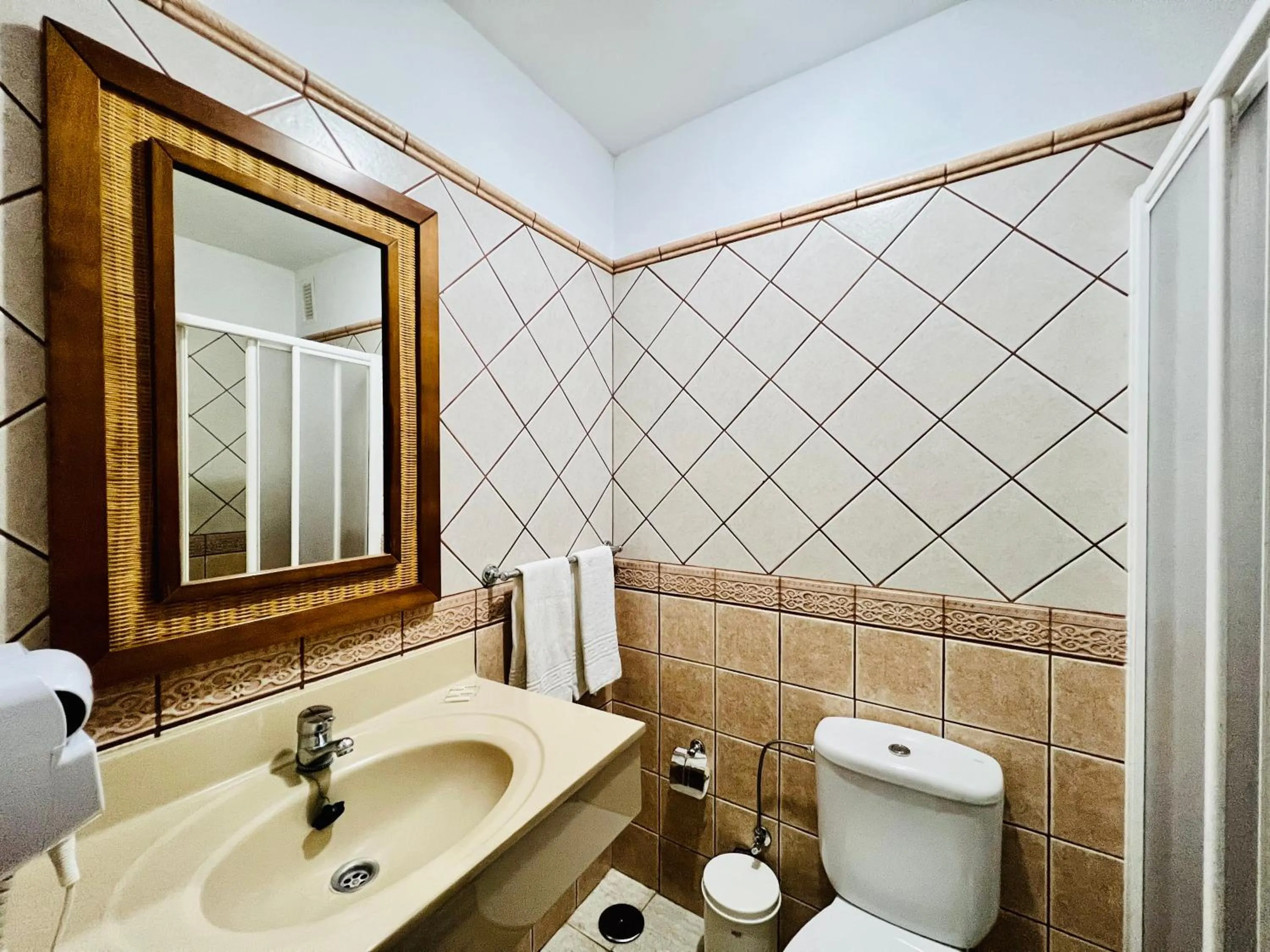 Shower in Apartamentos Frontera