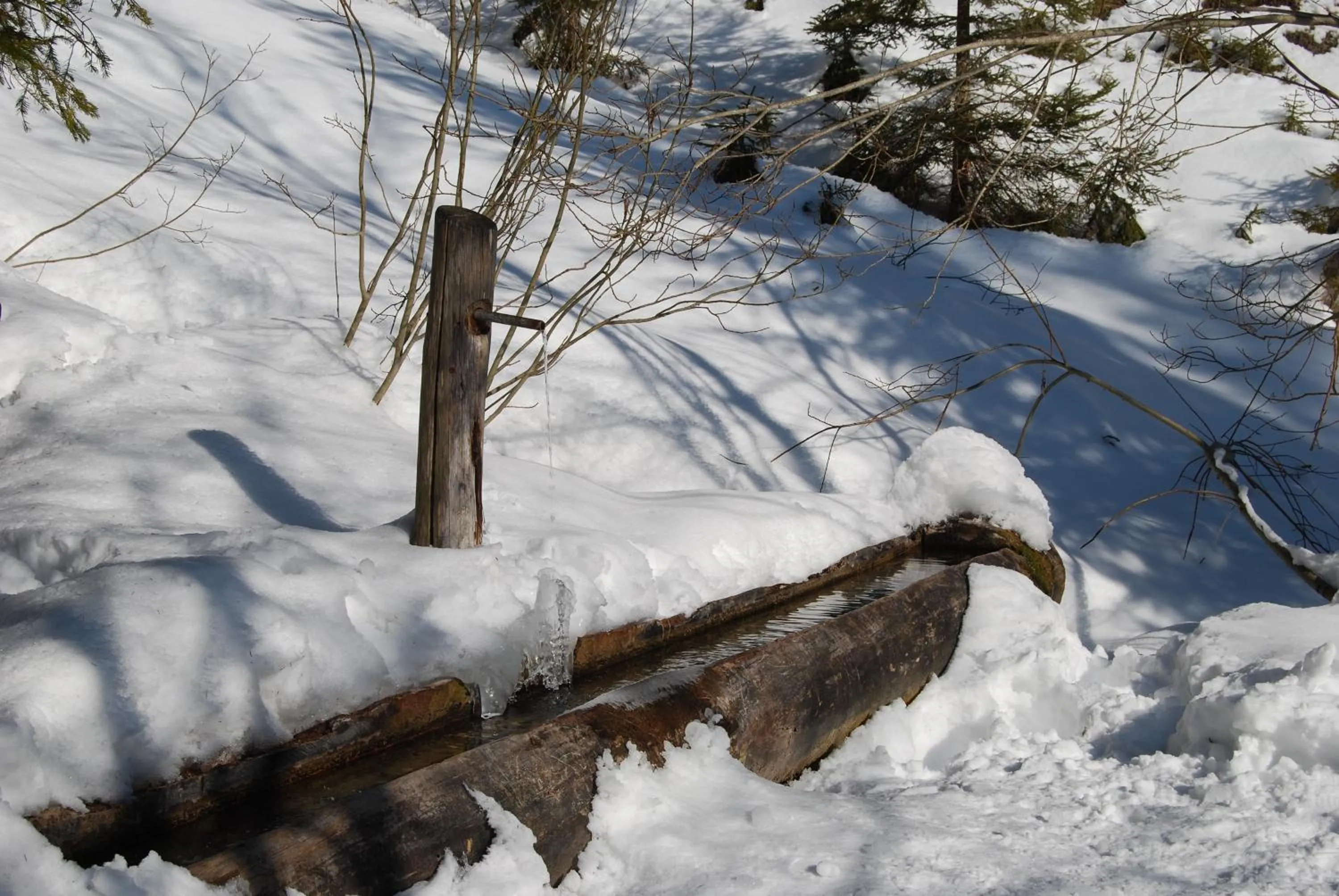 Winter in Hotel Dal Bon