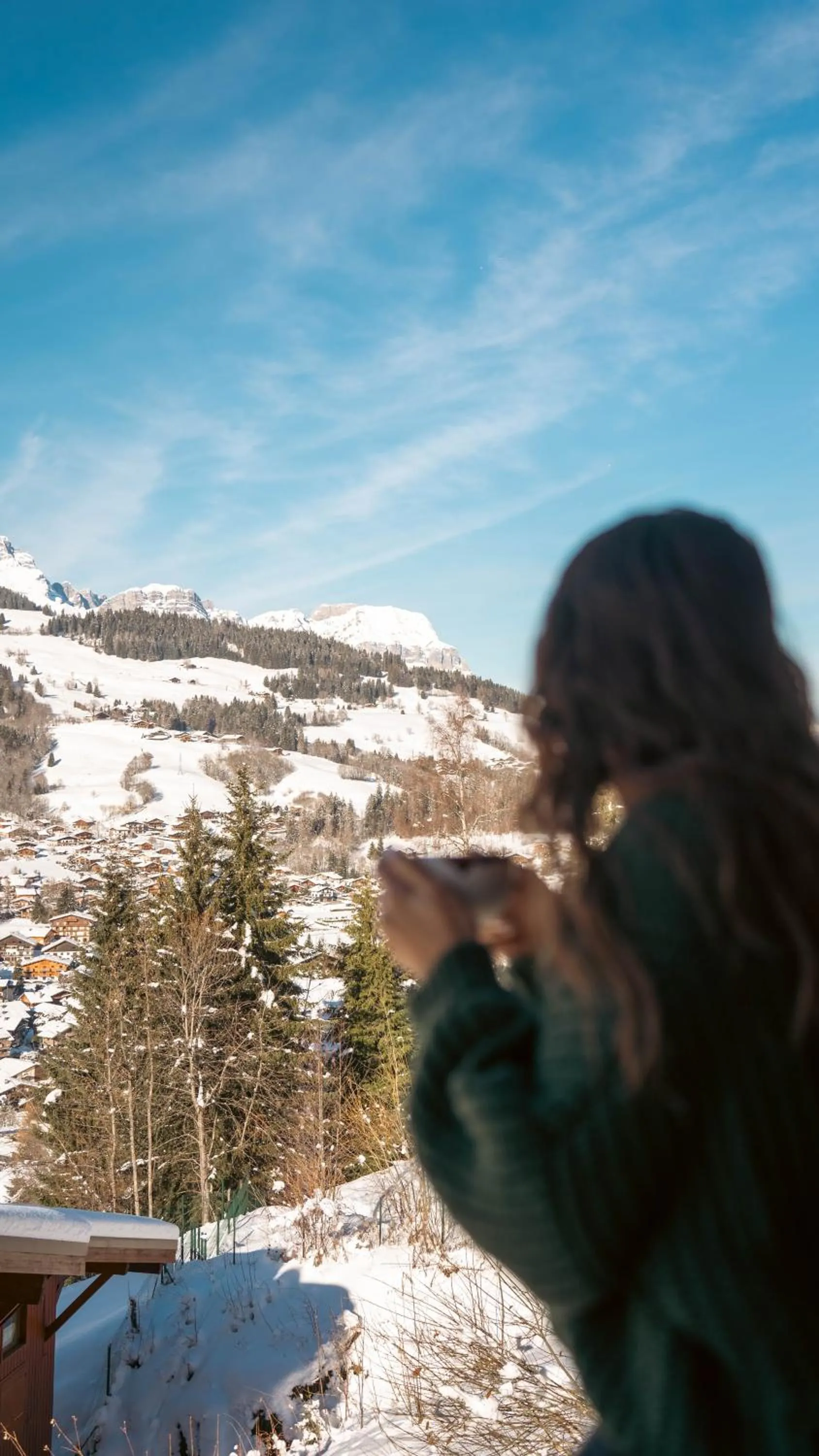 Mountain view in Mamie Megève