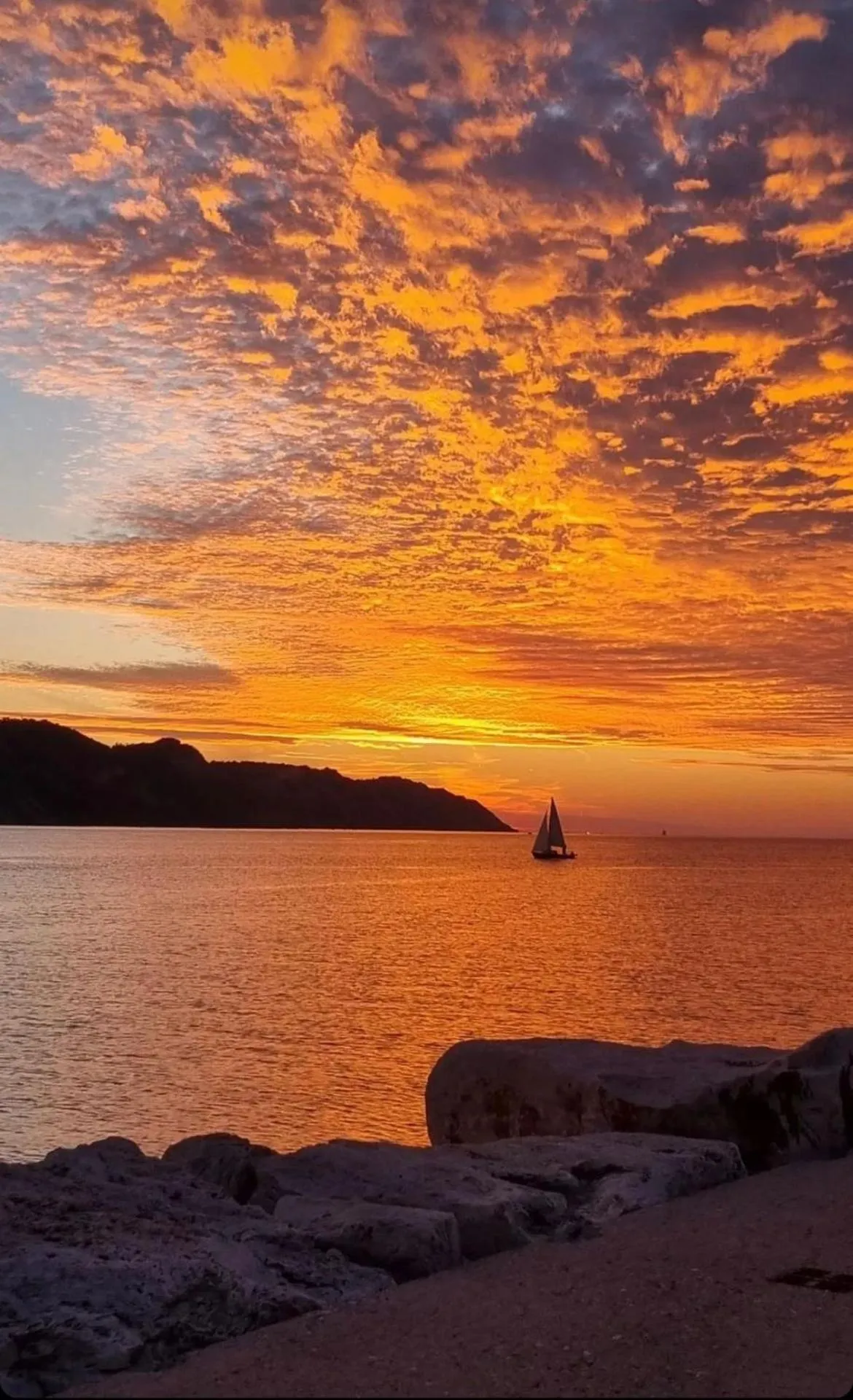 Property building in Hotel Metropol