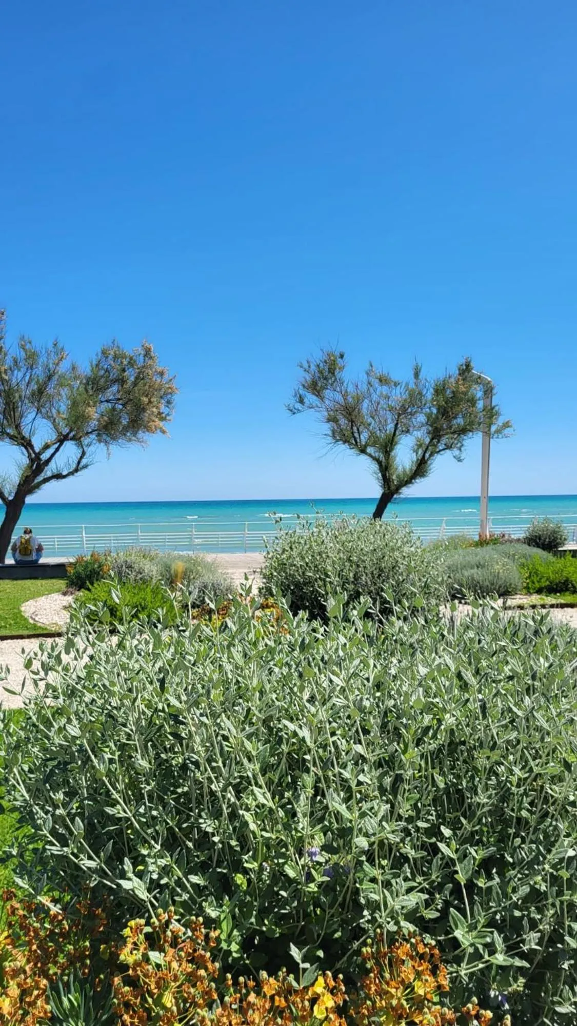 Garden in Hotel Metropol