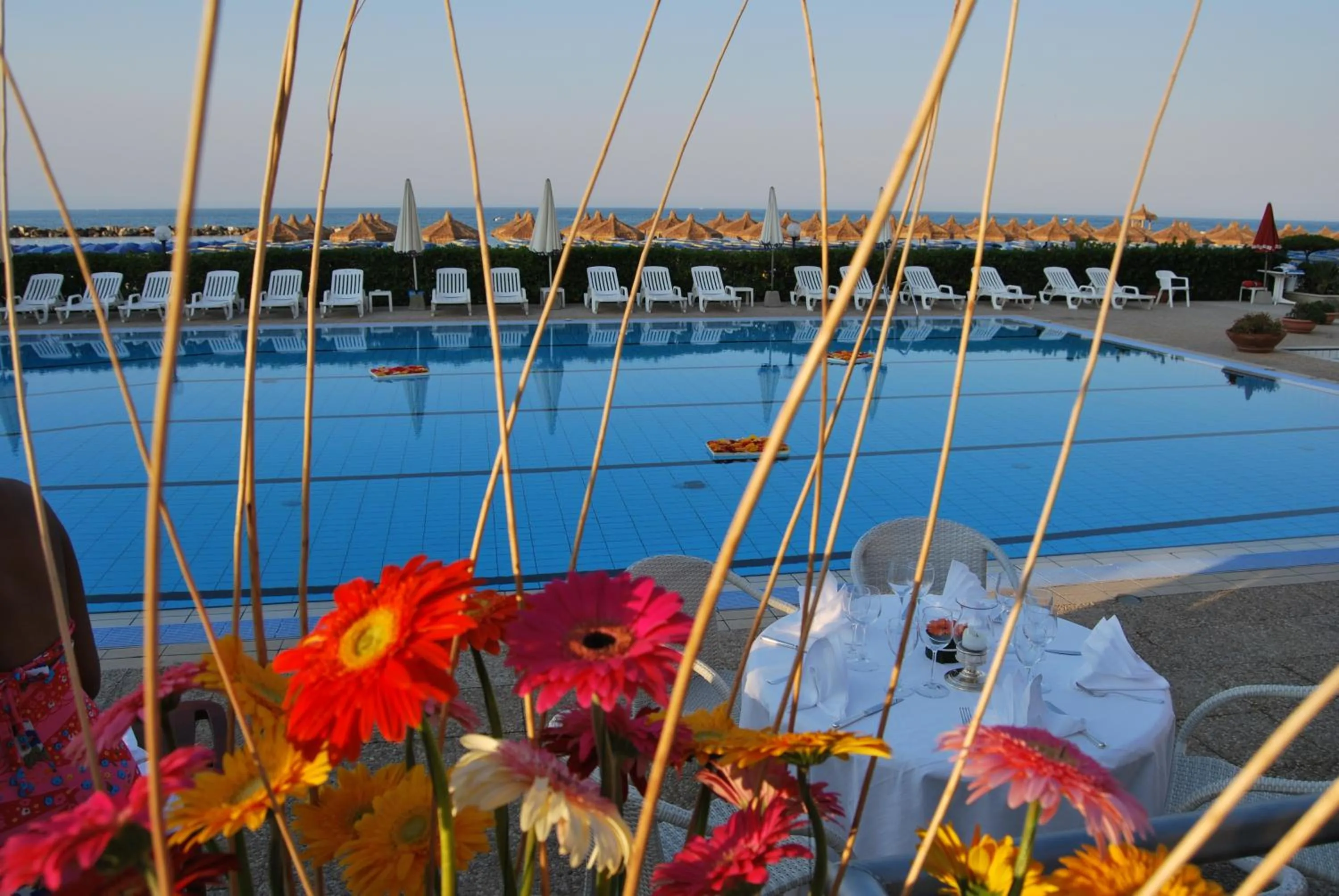 Swimming pool in Hotel Mara