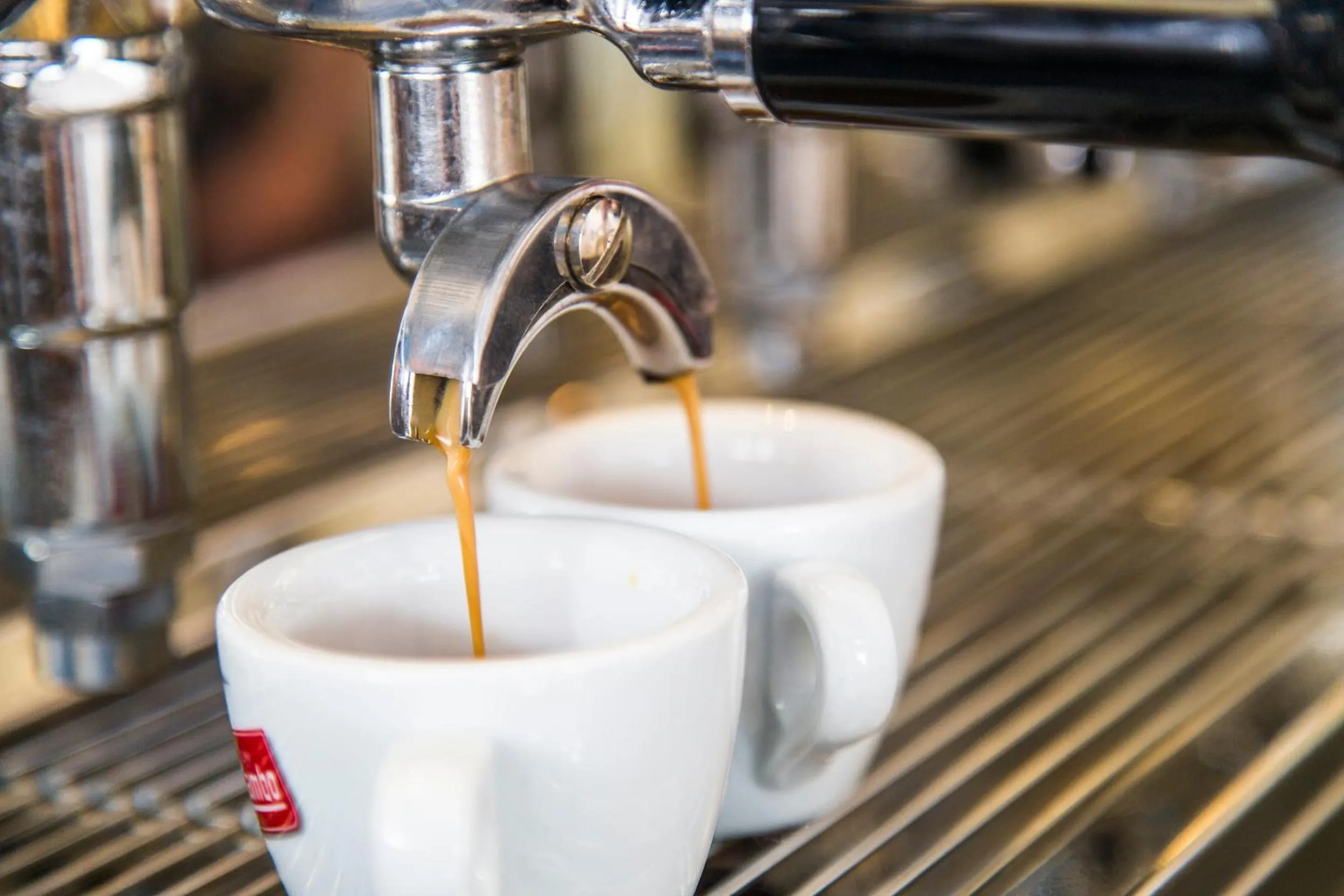 Lounge or bar in Hotel Mara