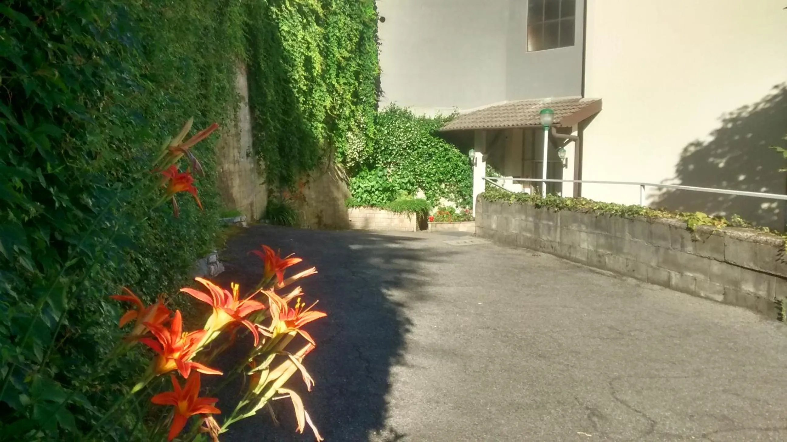 Facade/entrance in Hotel Glavjc