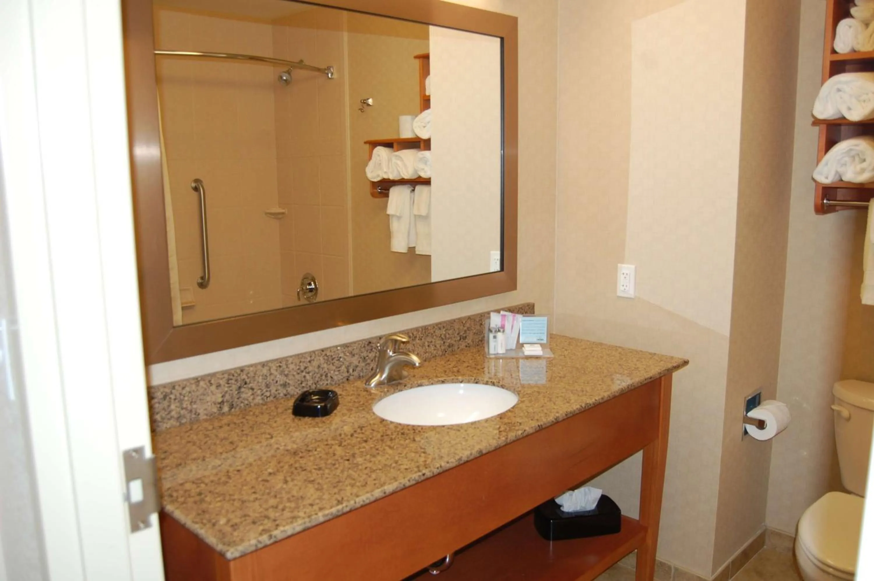 Bathroom in Hampton Inn Sidney