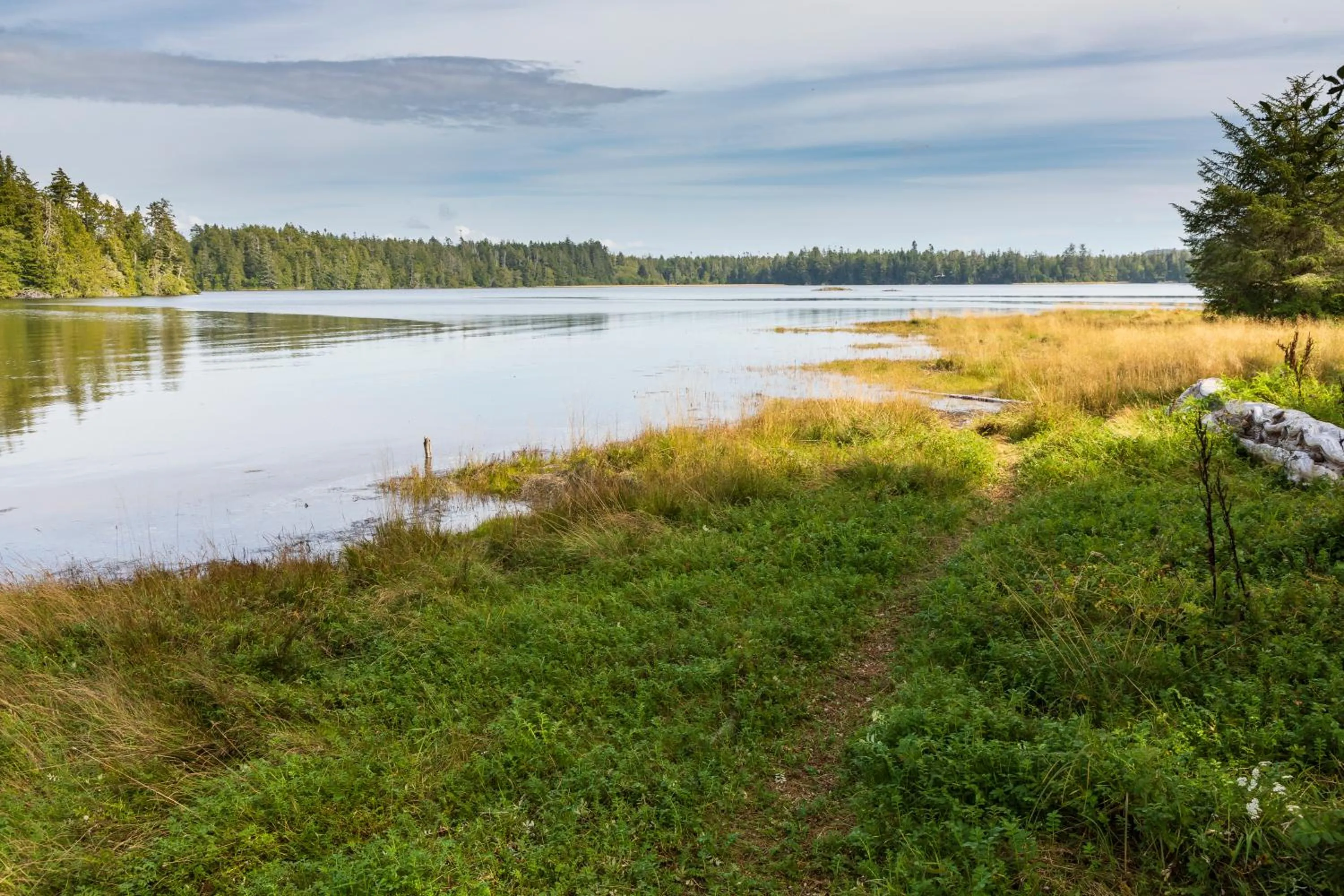 Hiking in Hotel Zed Tofino