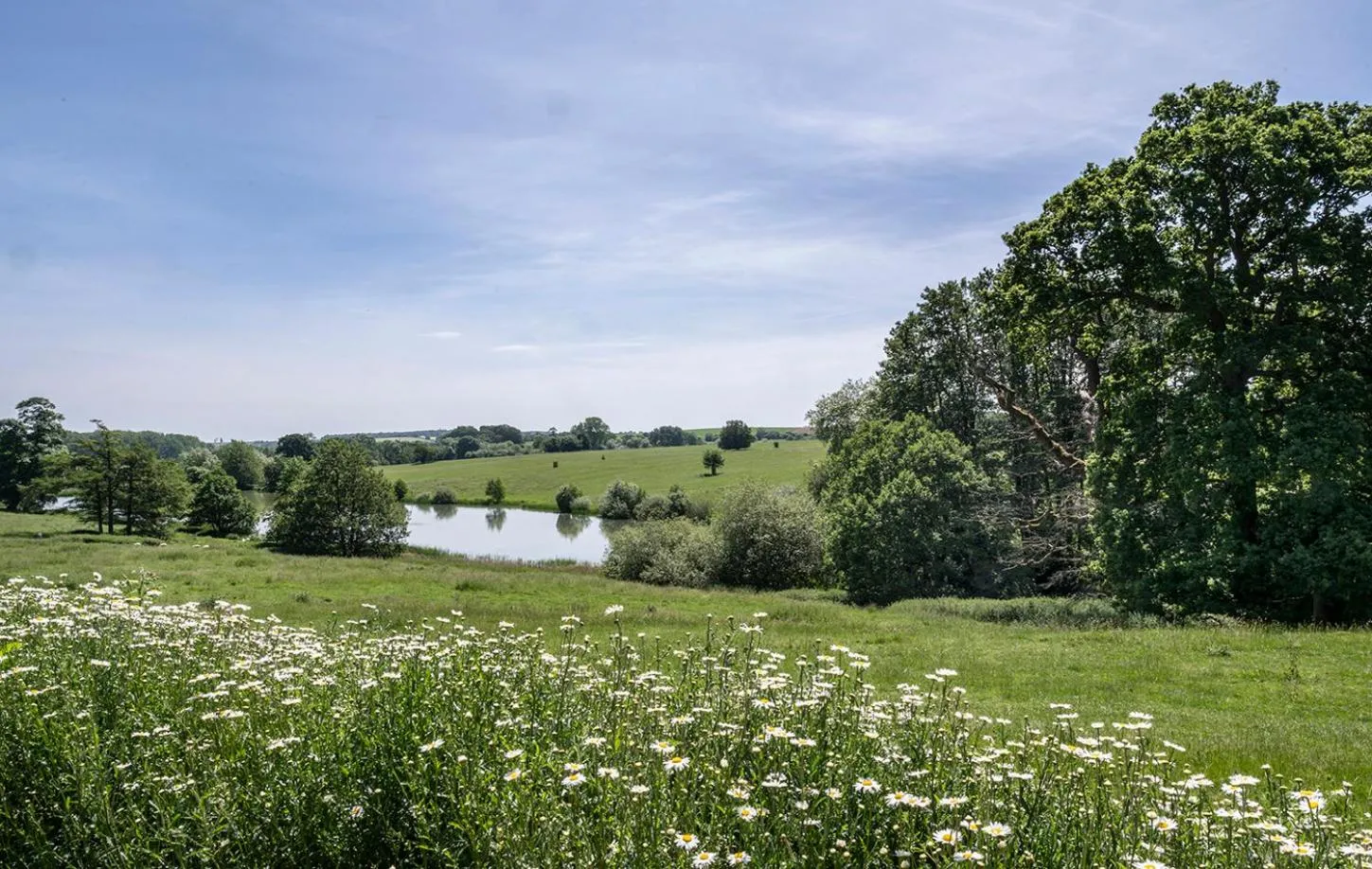 Natural landscape in Fawsley Hall Hotel