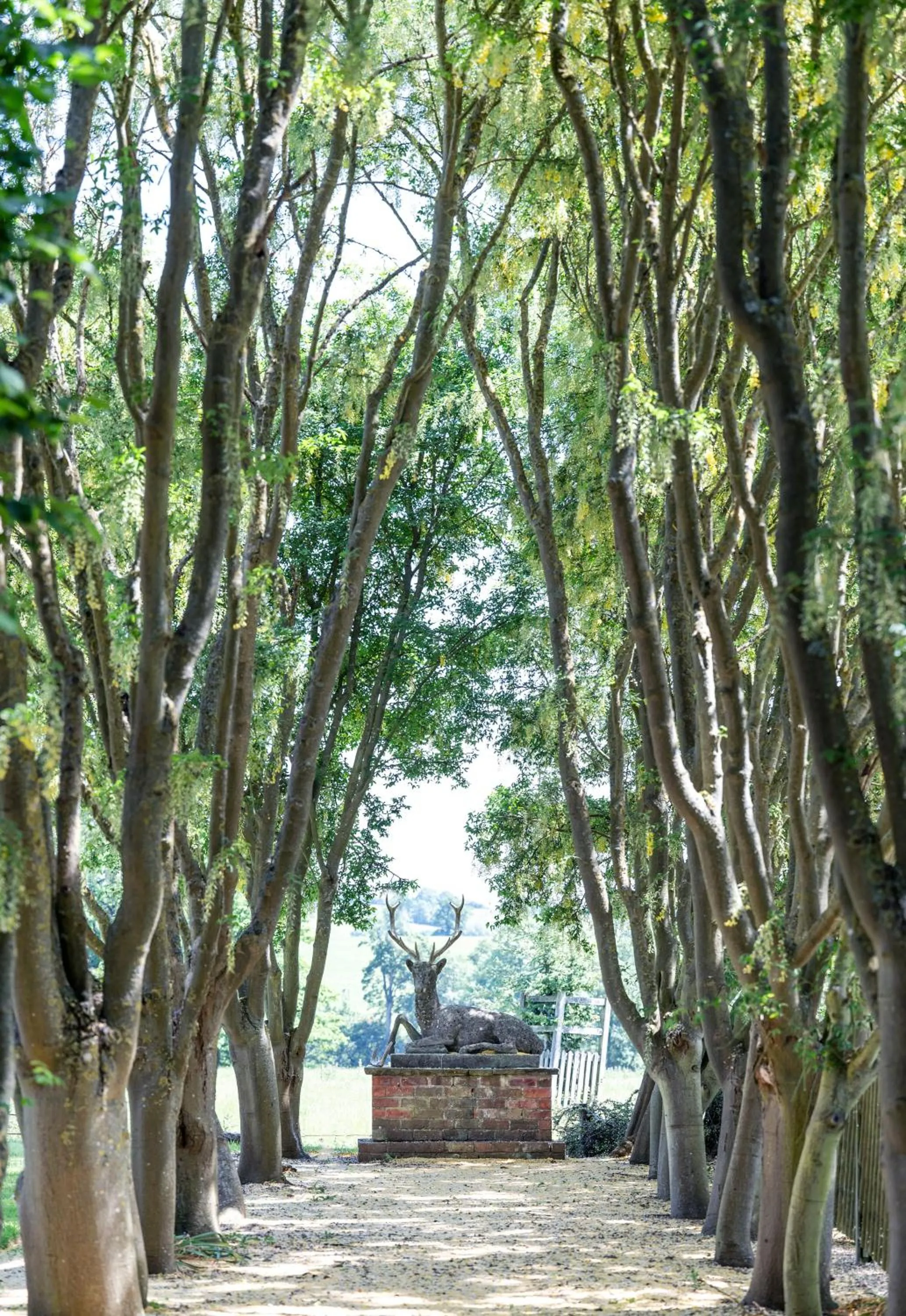 Facade/entrance in Fawsley Hall Hotel