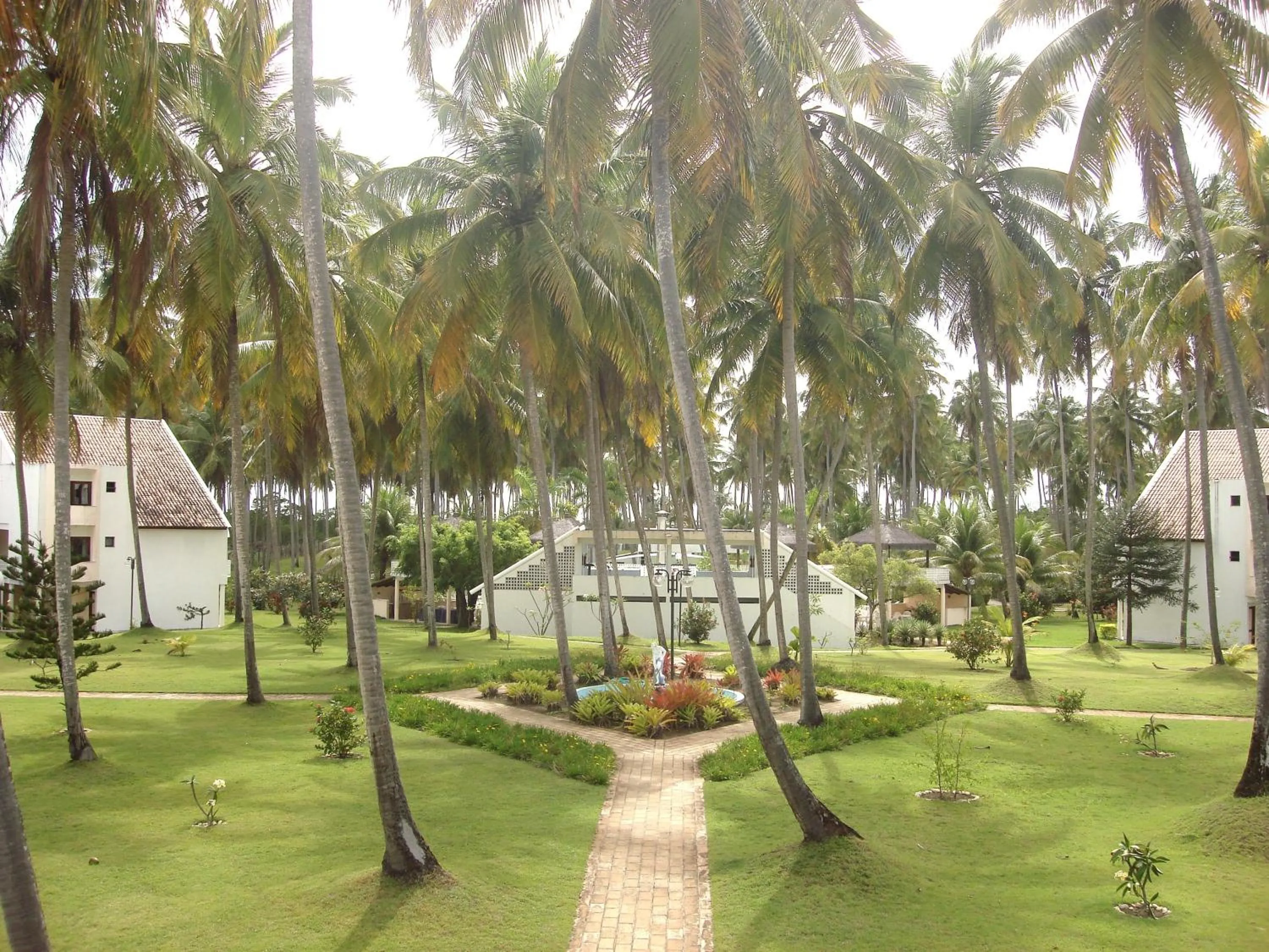 Garden in Hotel D'Anatureza