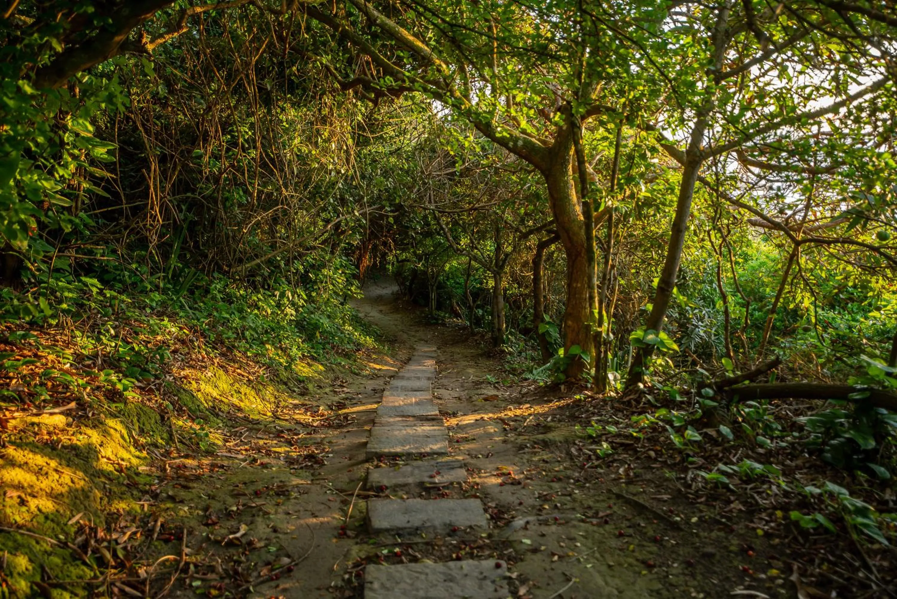 Natural landscape in Hotel Pontal de Ubu