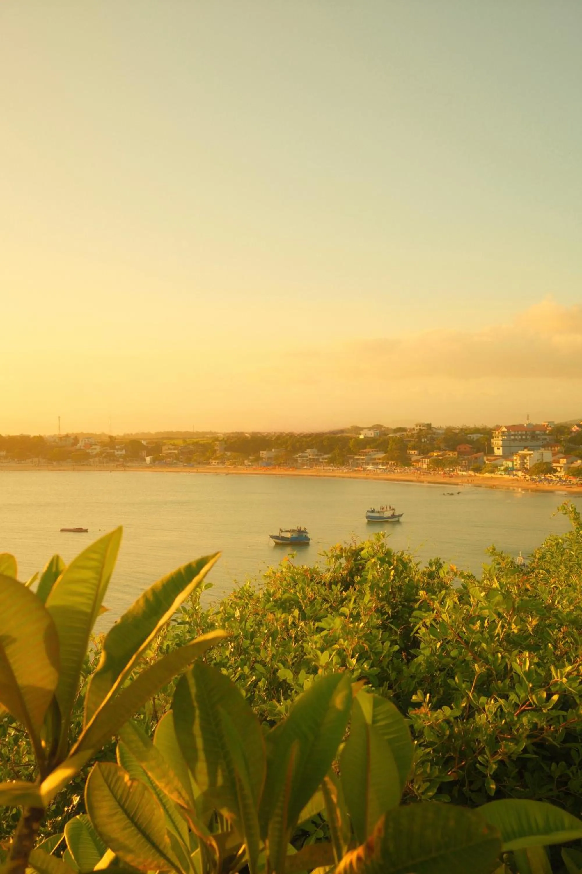 Natural landscape in Hotel Pontal de Ubu