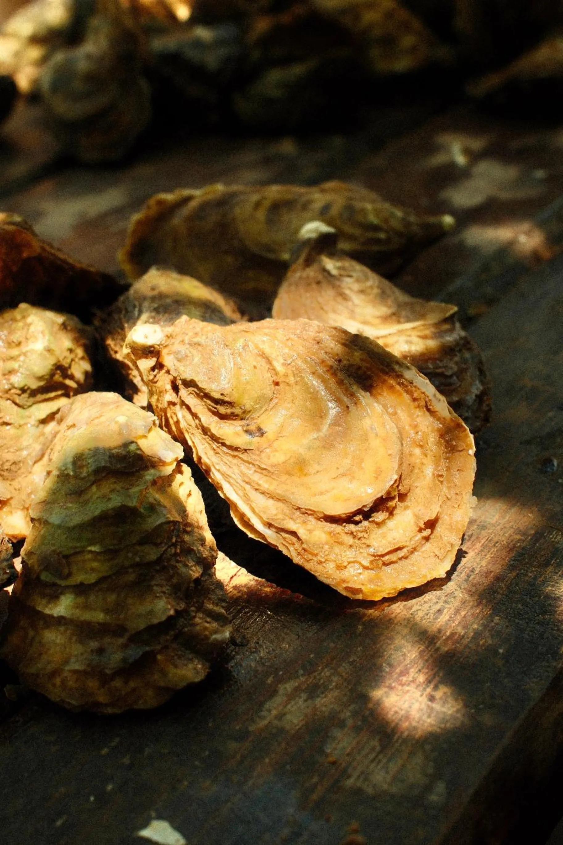 Food in Hotel Pontal de Ubu