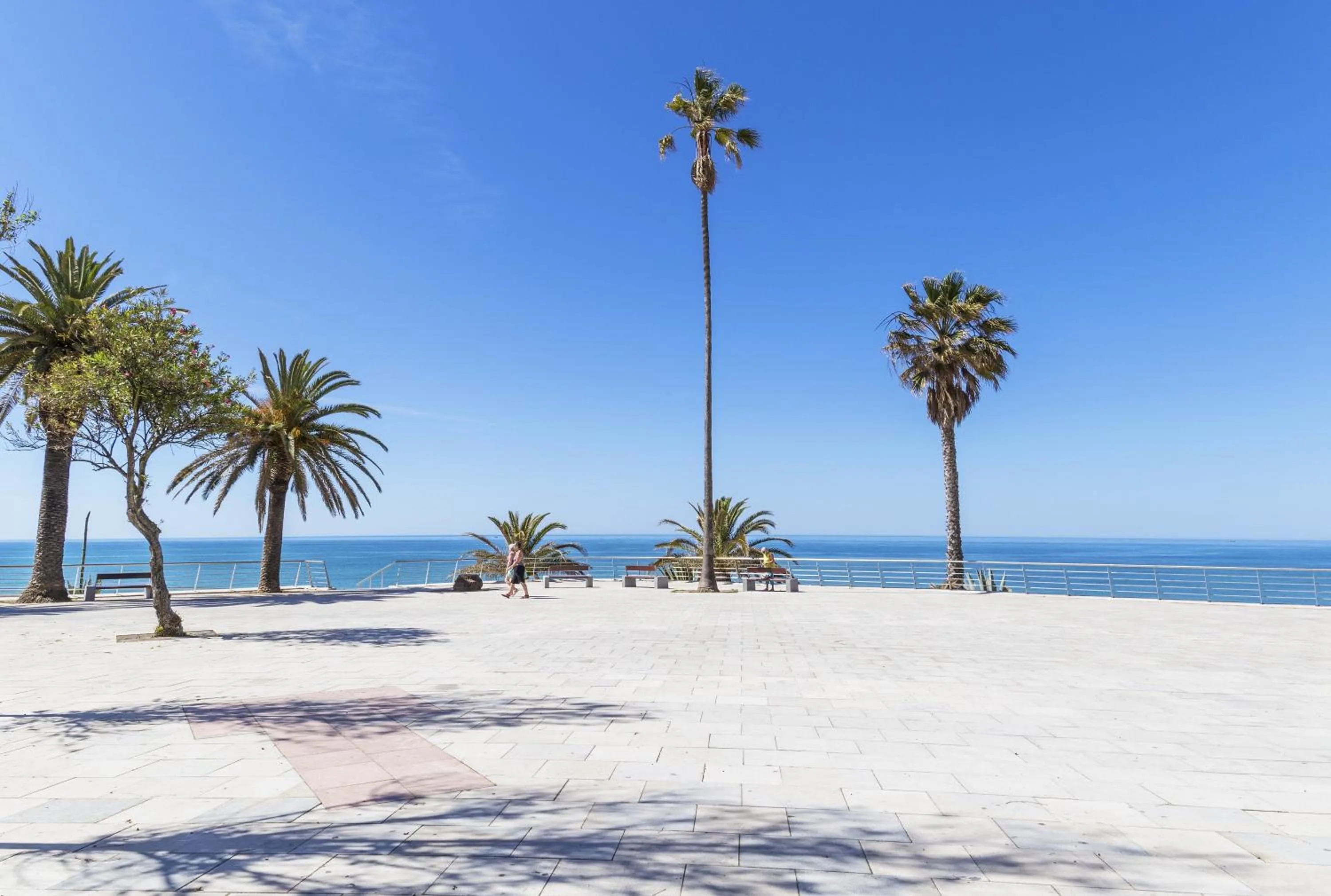 Area and facilities in Rosamar Apartamentos