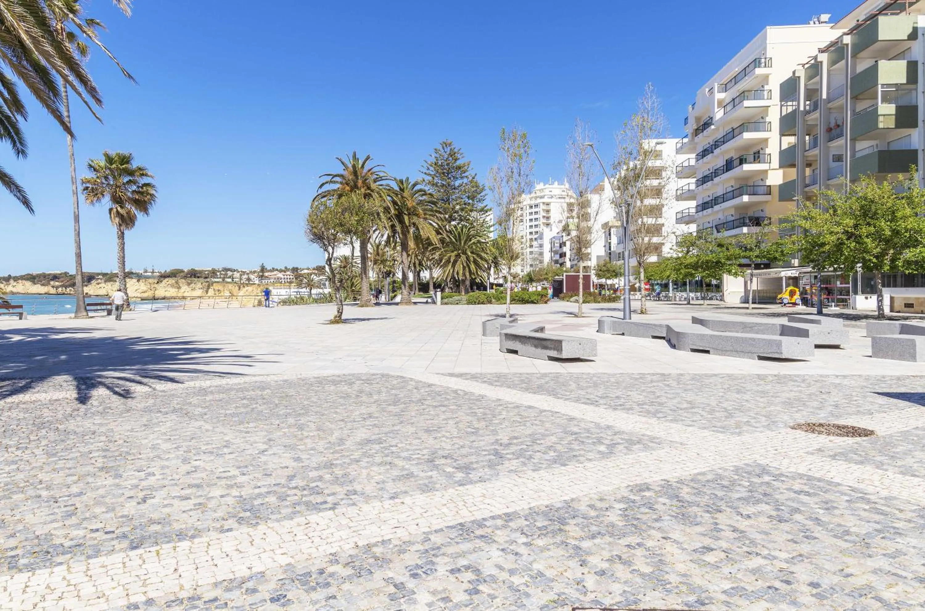 Area and facilities in Rosamar Apartamentos