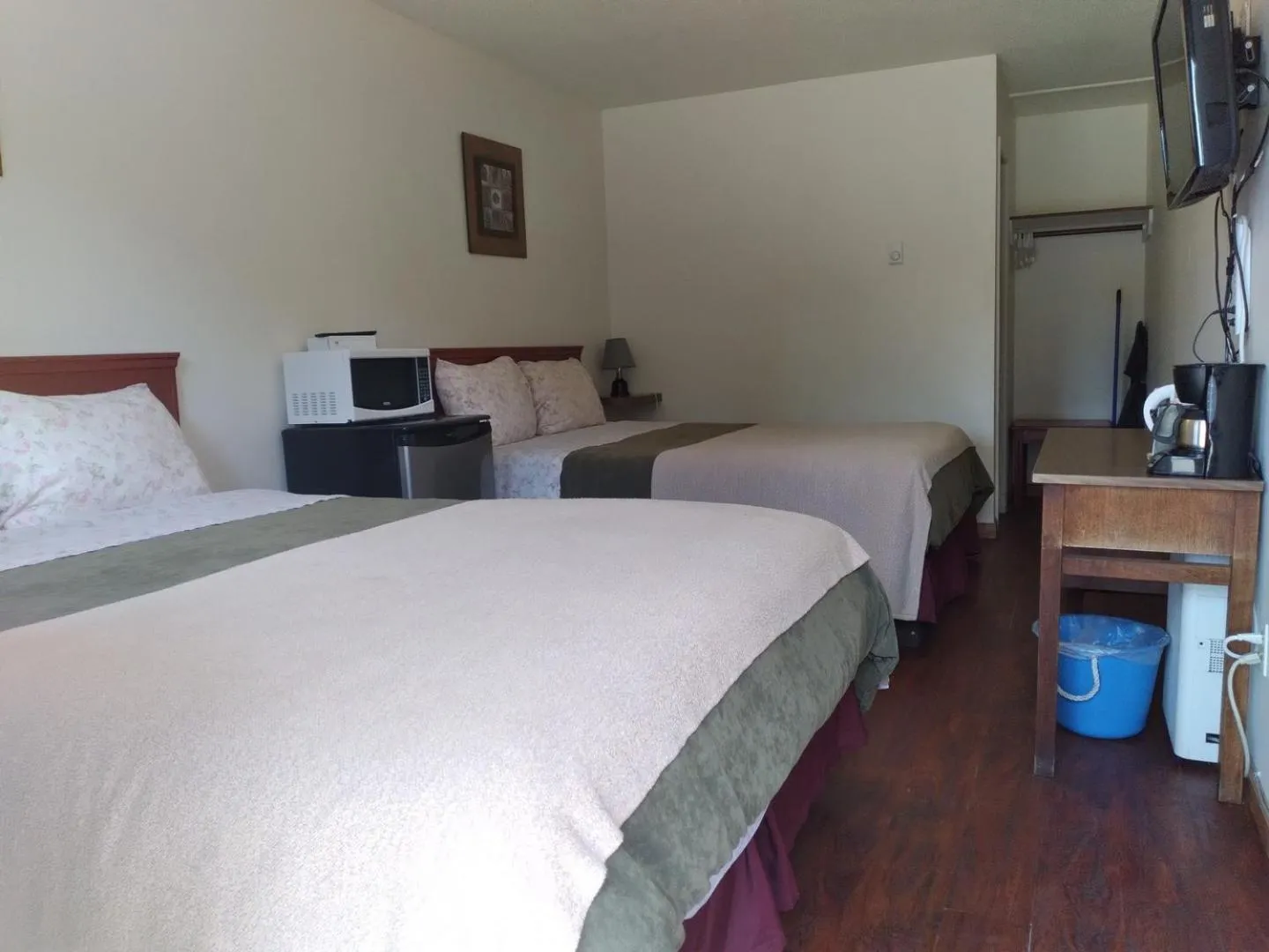 Photo of the whole room, Bed in Dolphin Motel