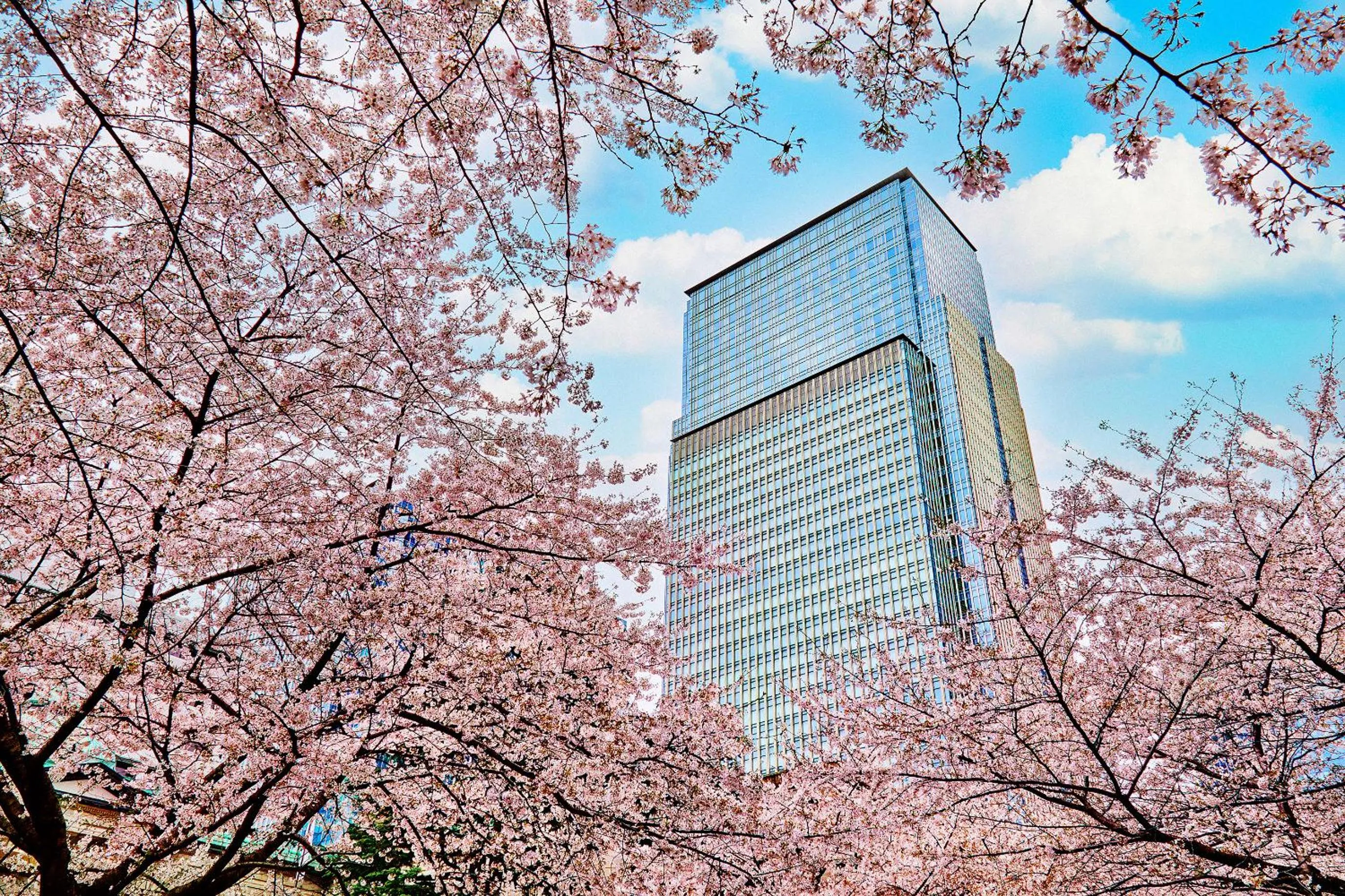 Property building in Mandarin Oriental, Tokyo
