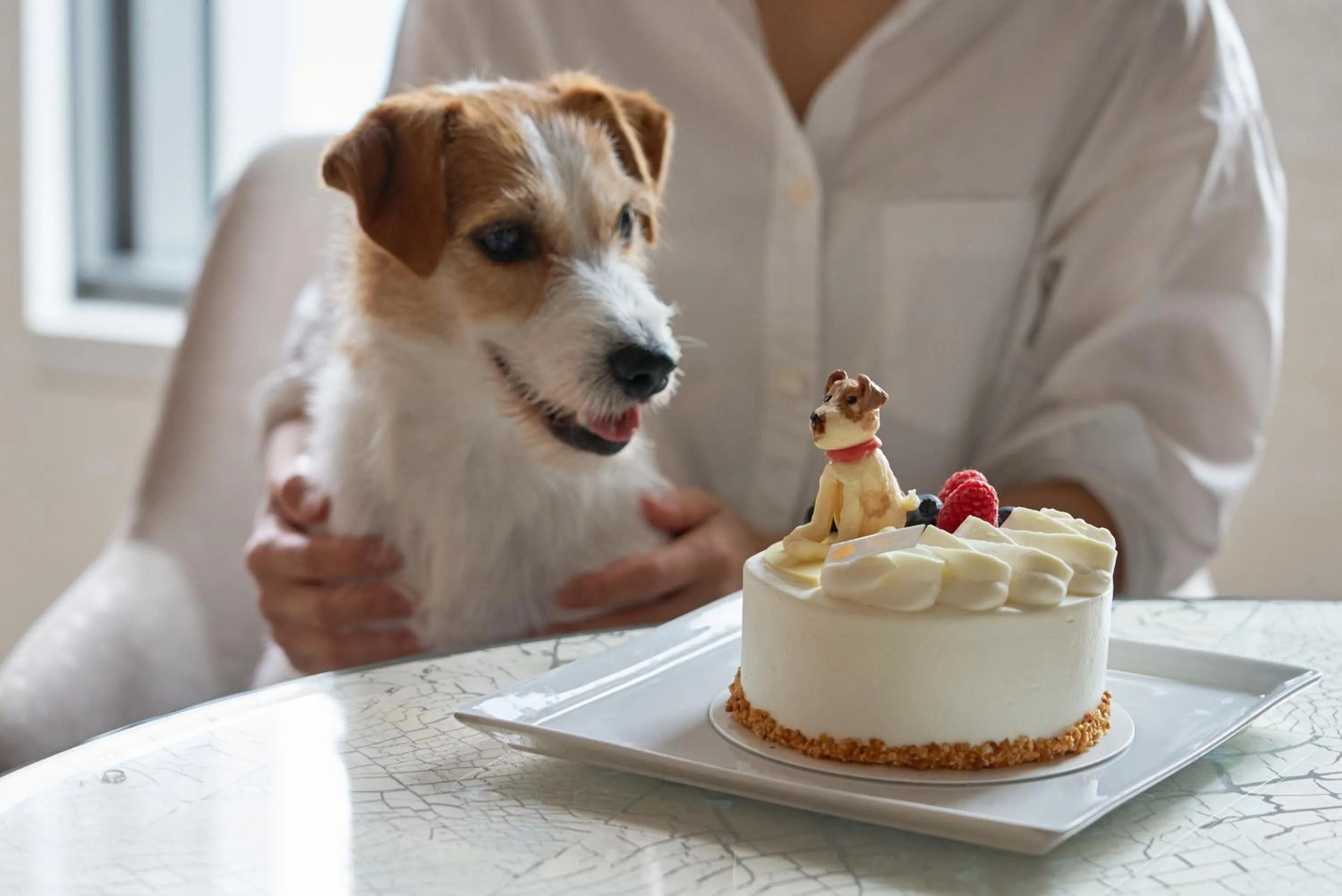 pet friendly in Mandarin Oriental, Tokyo