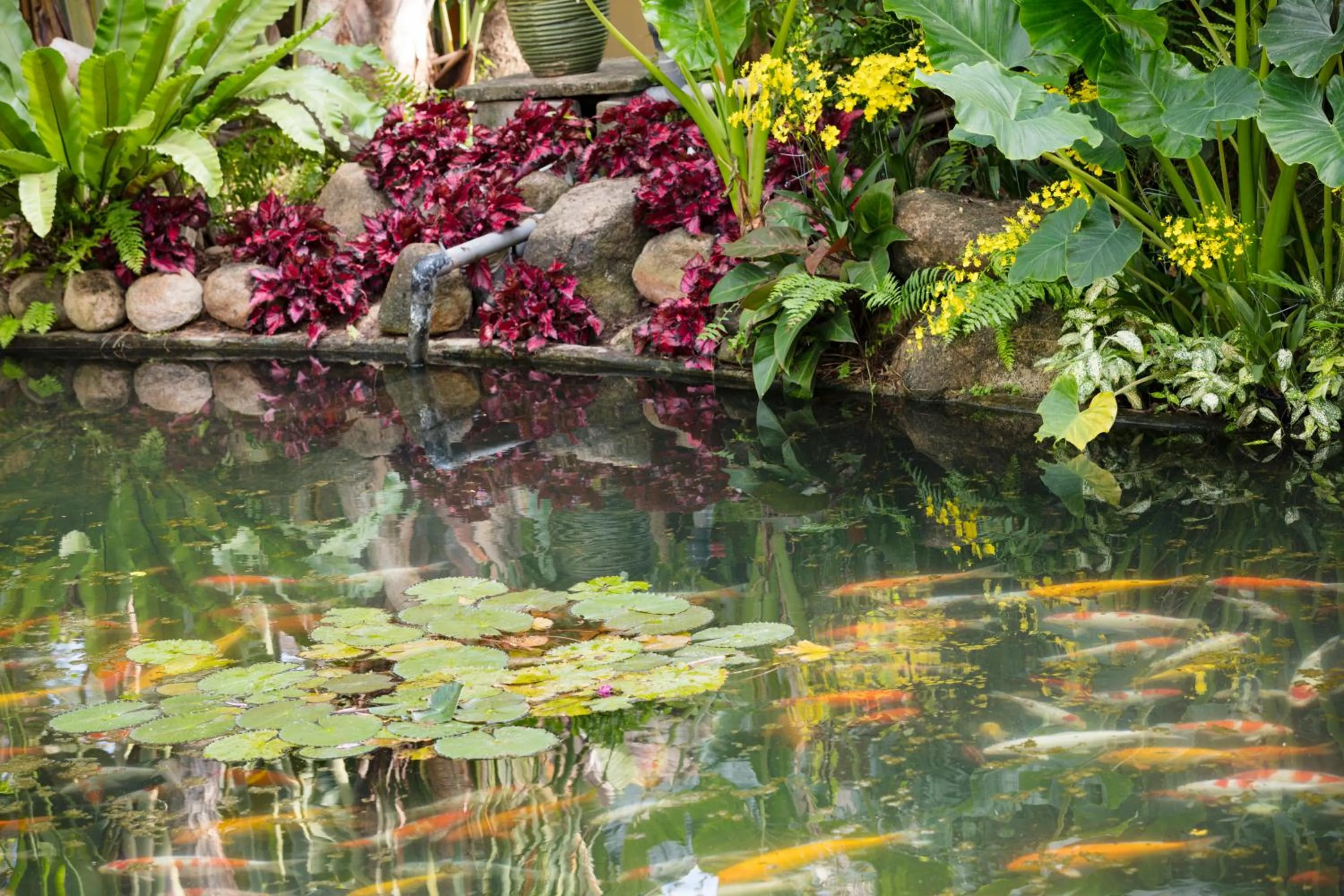 Terracotta Resort & Spa