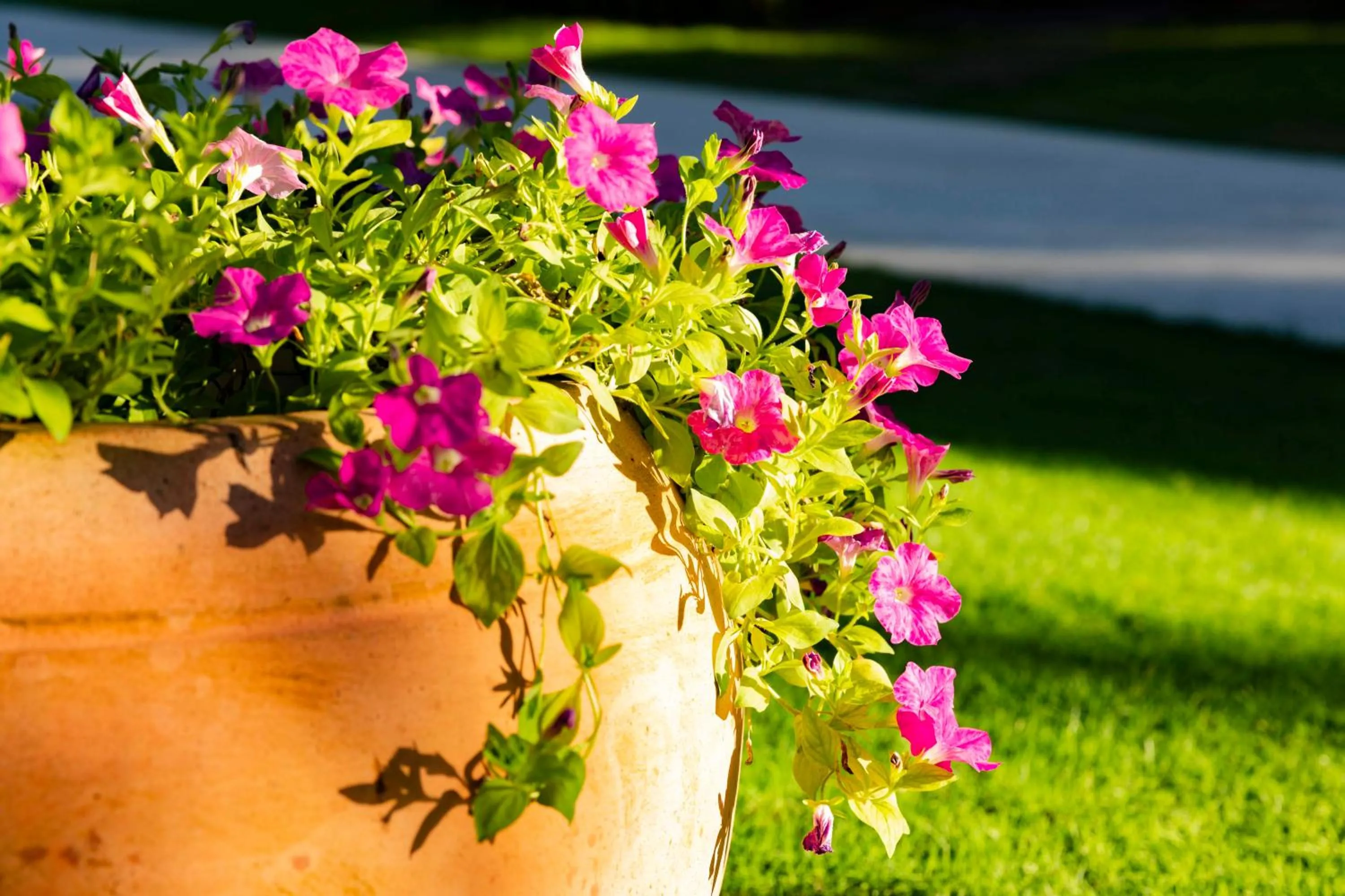 Terracotta Resort & Spa