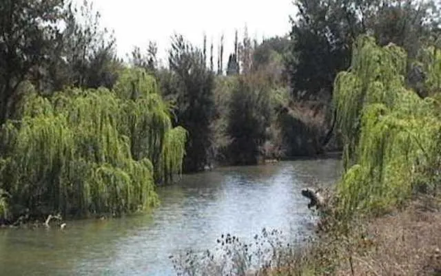 Area and facilities in Colonial Inn Motel