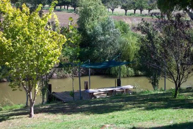 Area and facilities in Colonial Inn Motel