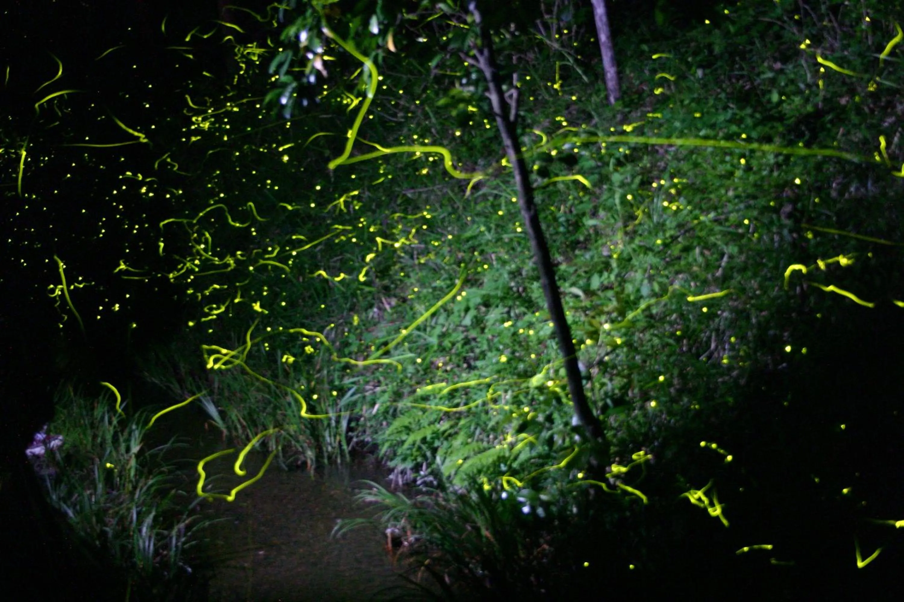 Nearby landmark in Kitabiwako Hotel Grazie