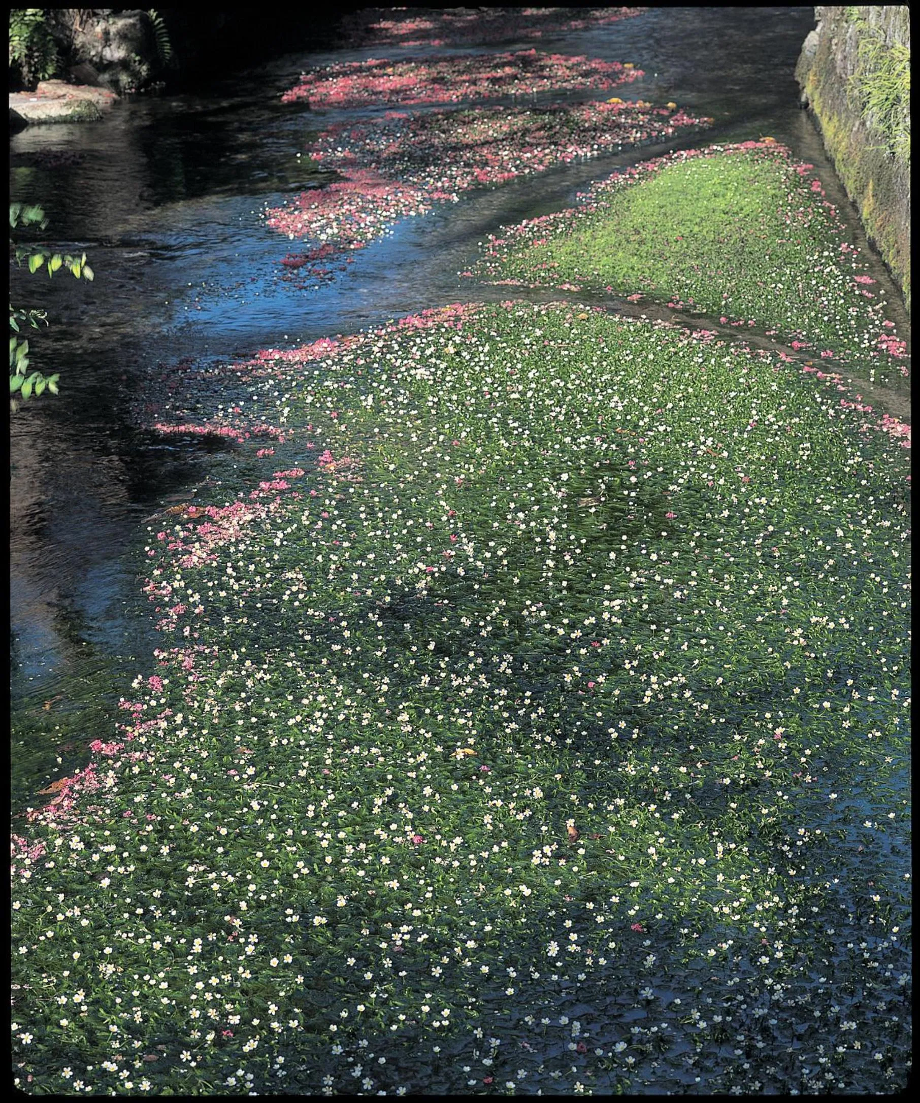 Nearby landmark in Kitabiwako Hotel Grazie