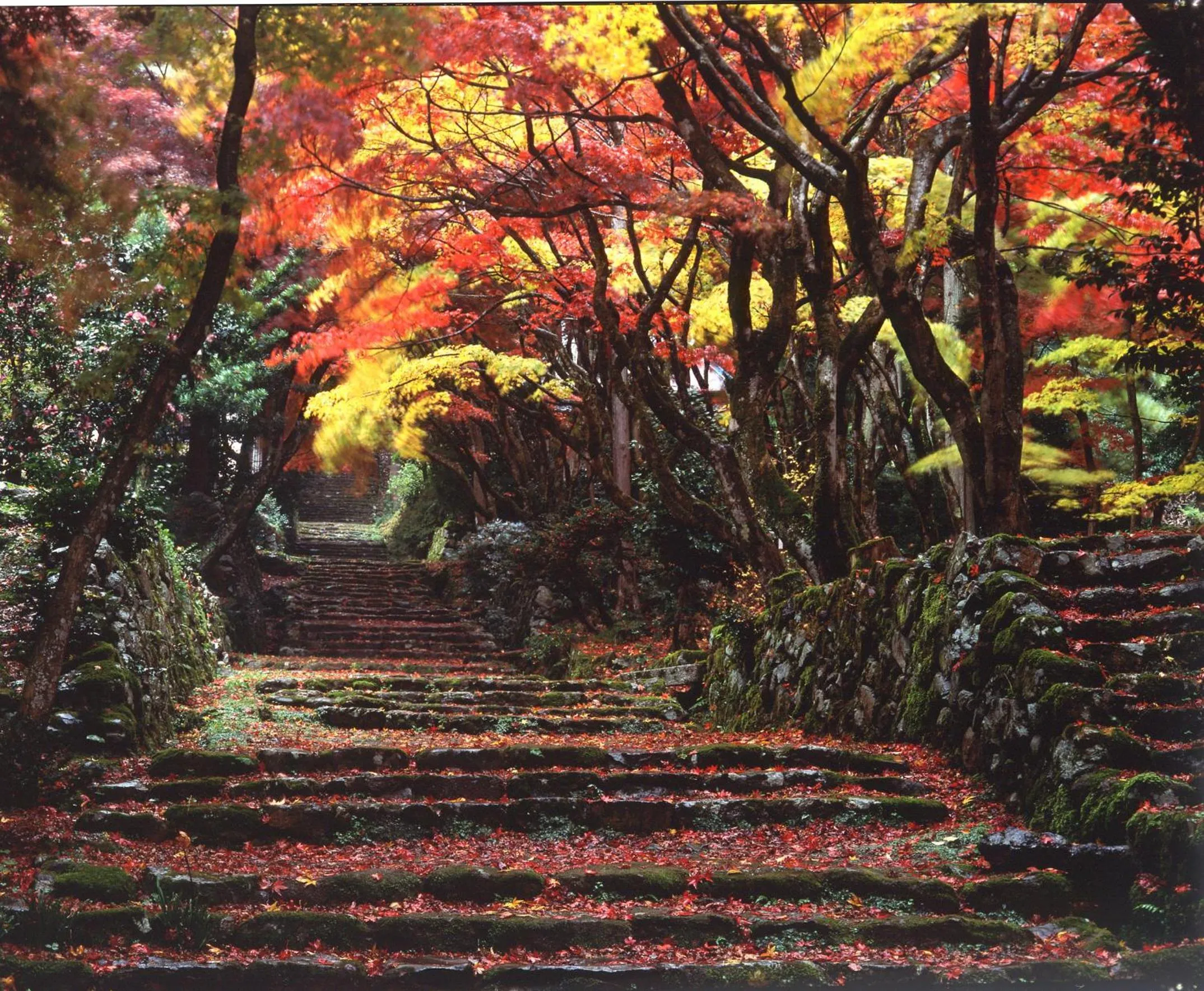 Nearby landmark in Kitabiwako Hotel Grazie