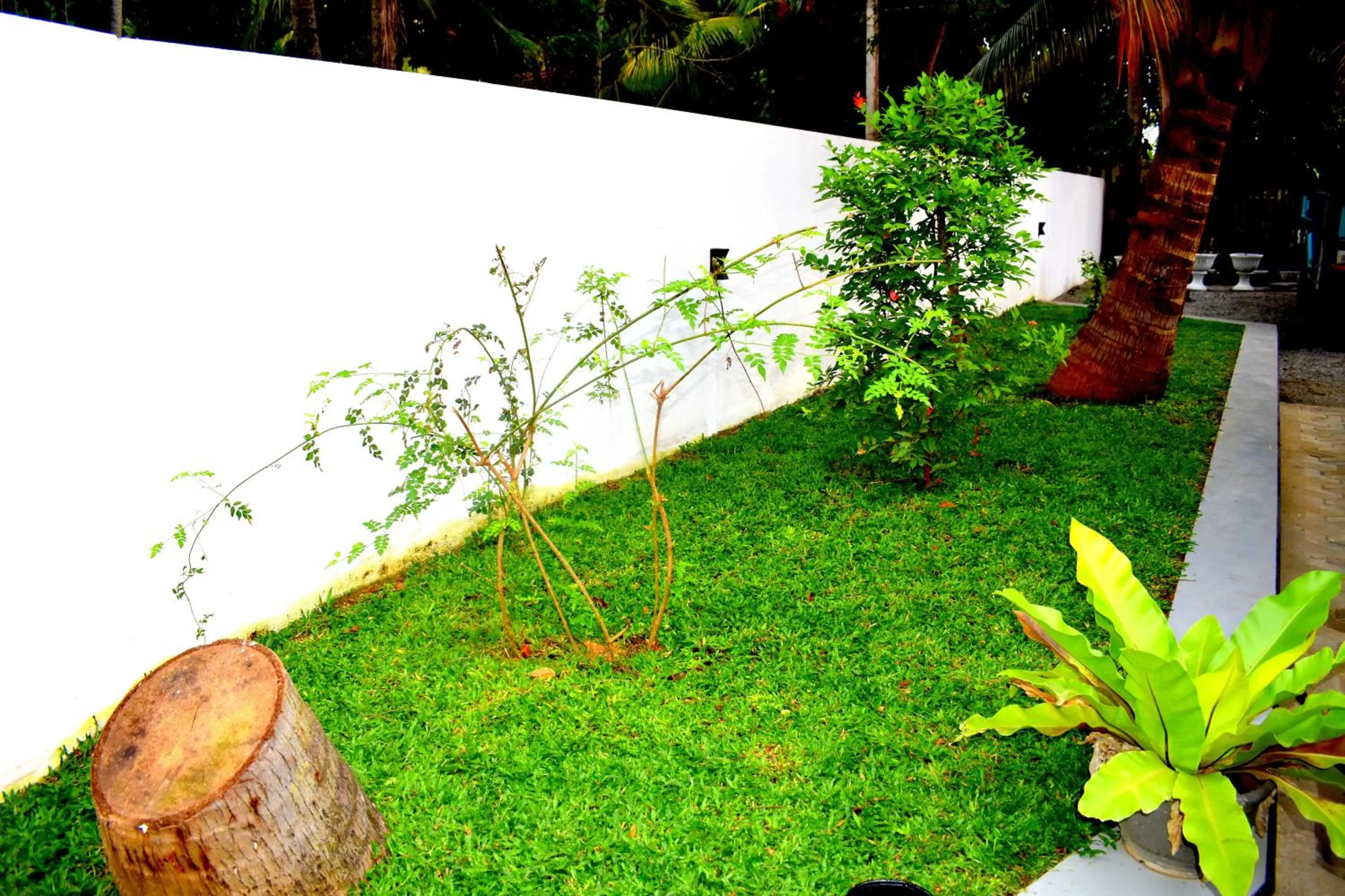 Garden view in Leonine Villa Yala